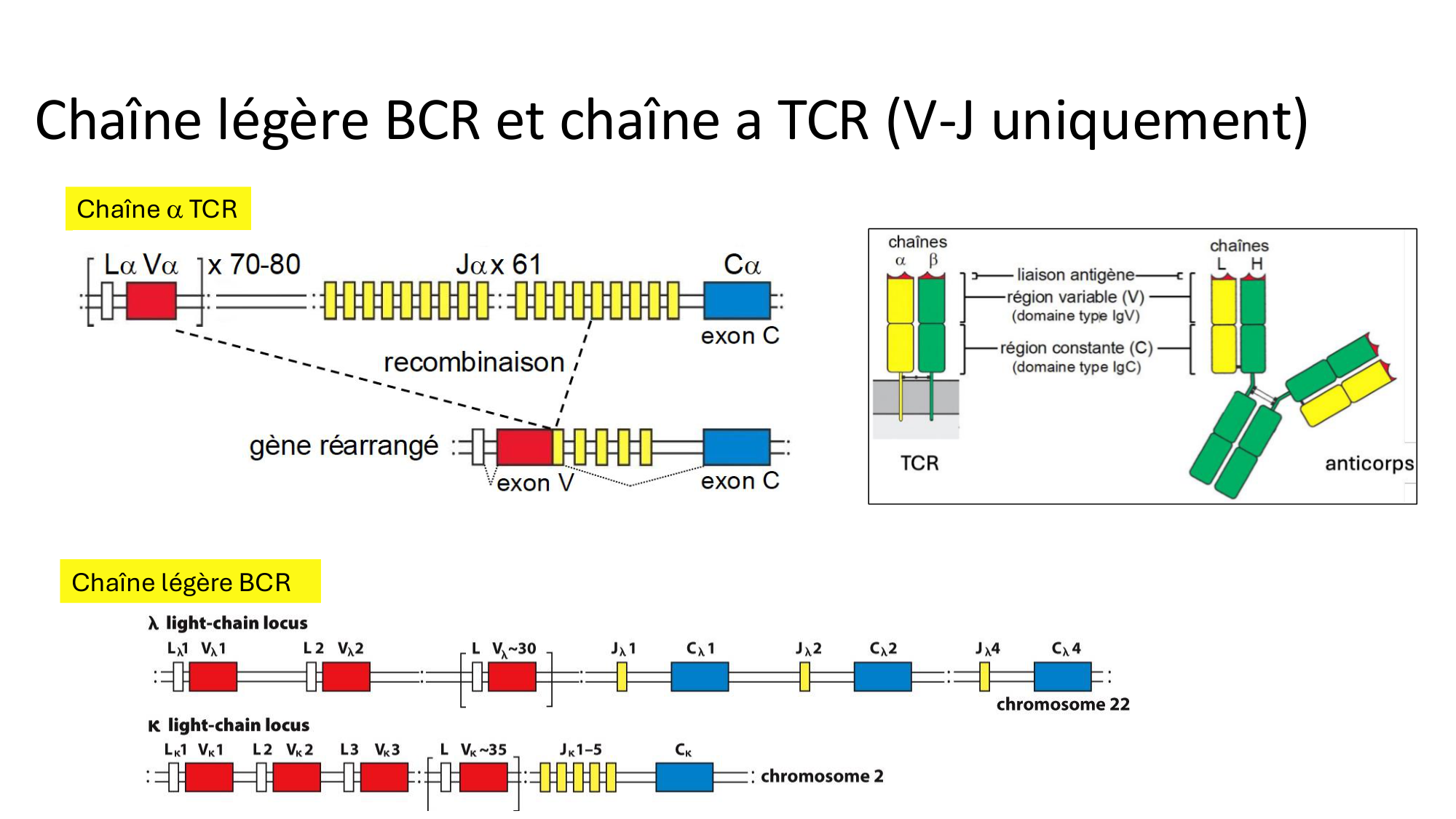 Répertoires B et T page 10