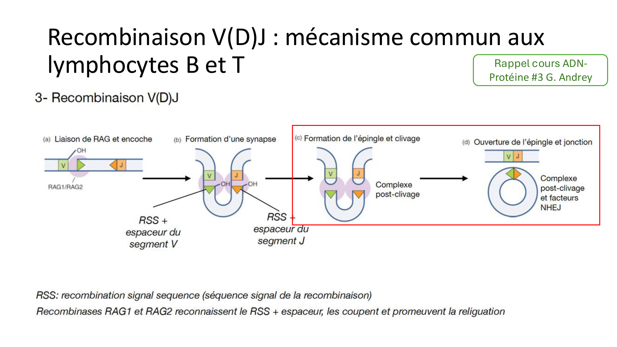 Répertoires B et T page 11