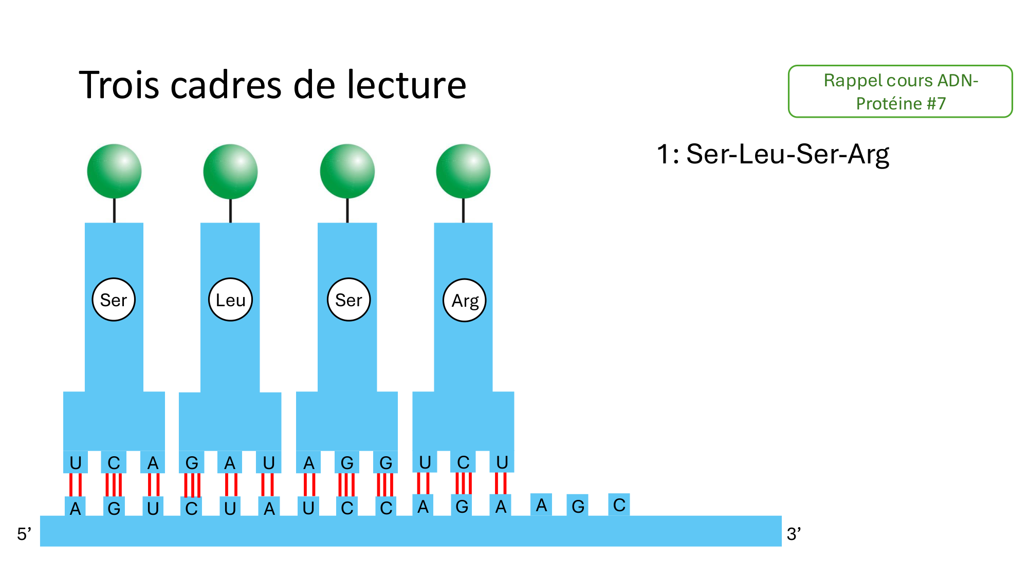 Répertoires B et T page 14