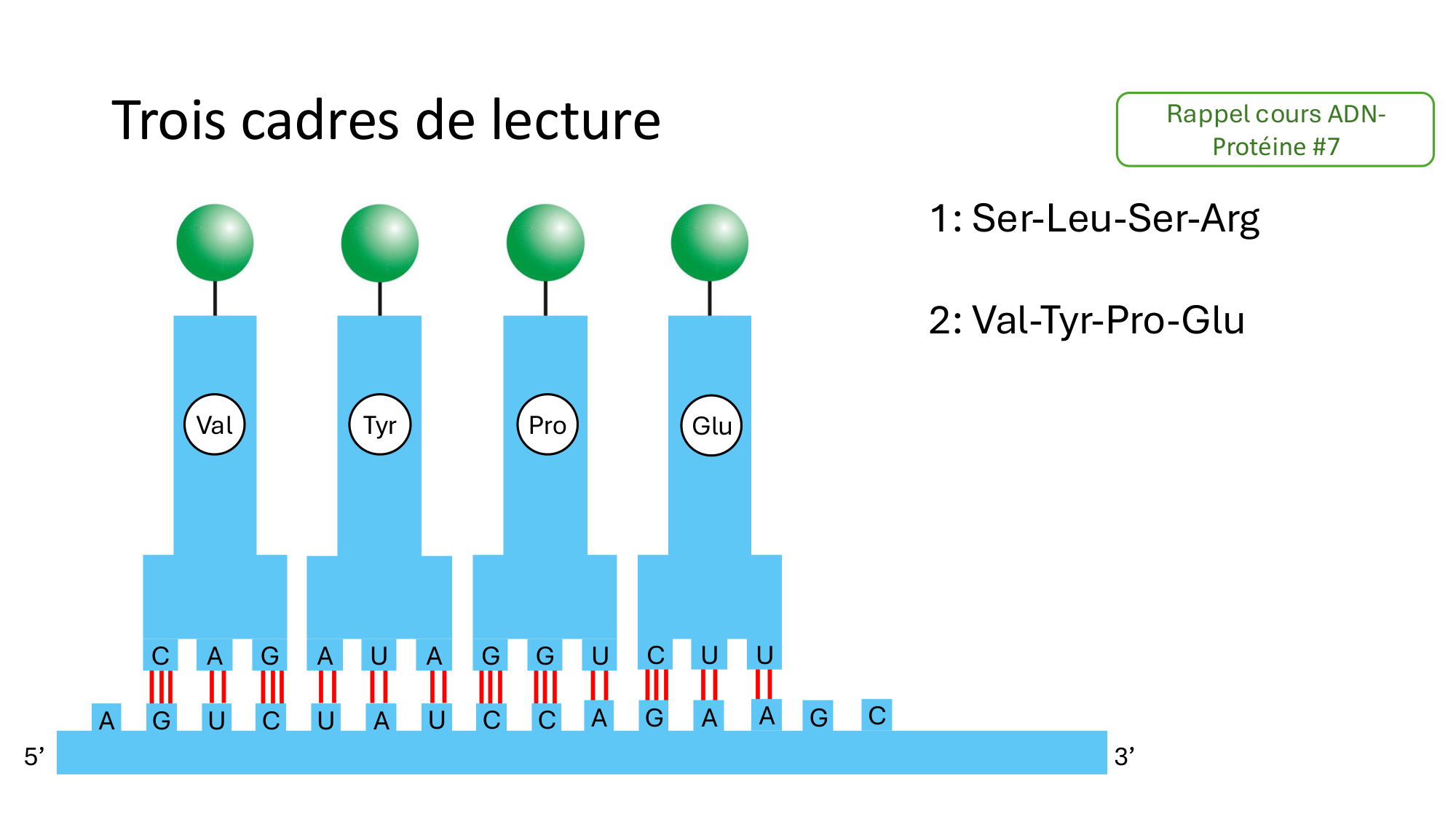 Répertoires B et T page 15