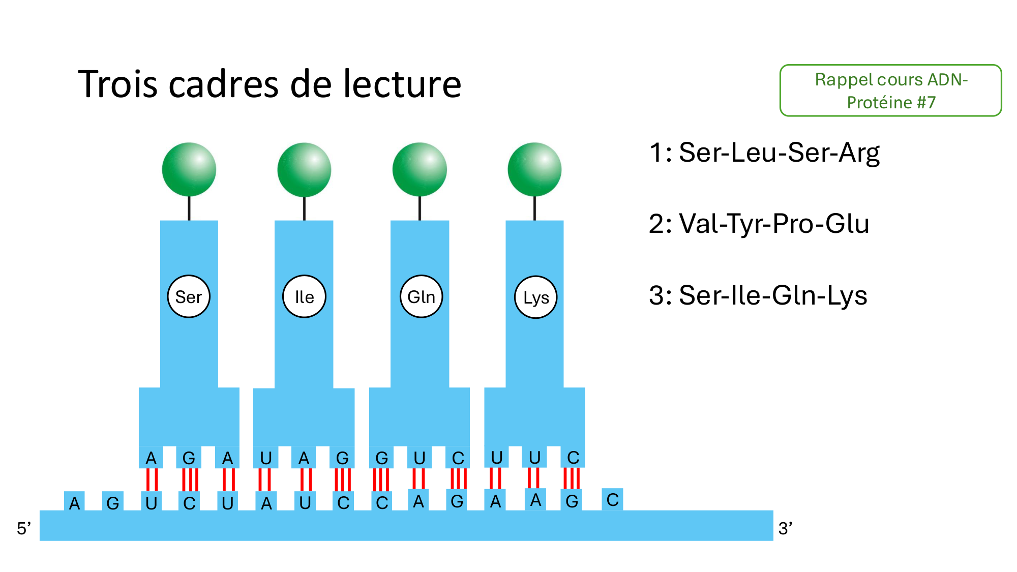 Répertoires B et T page 16