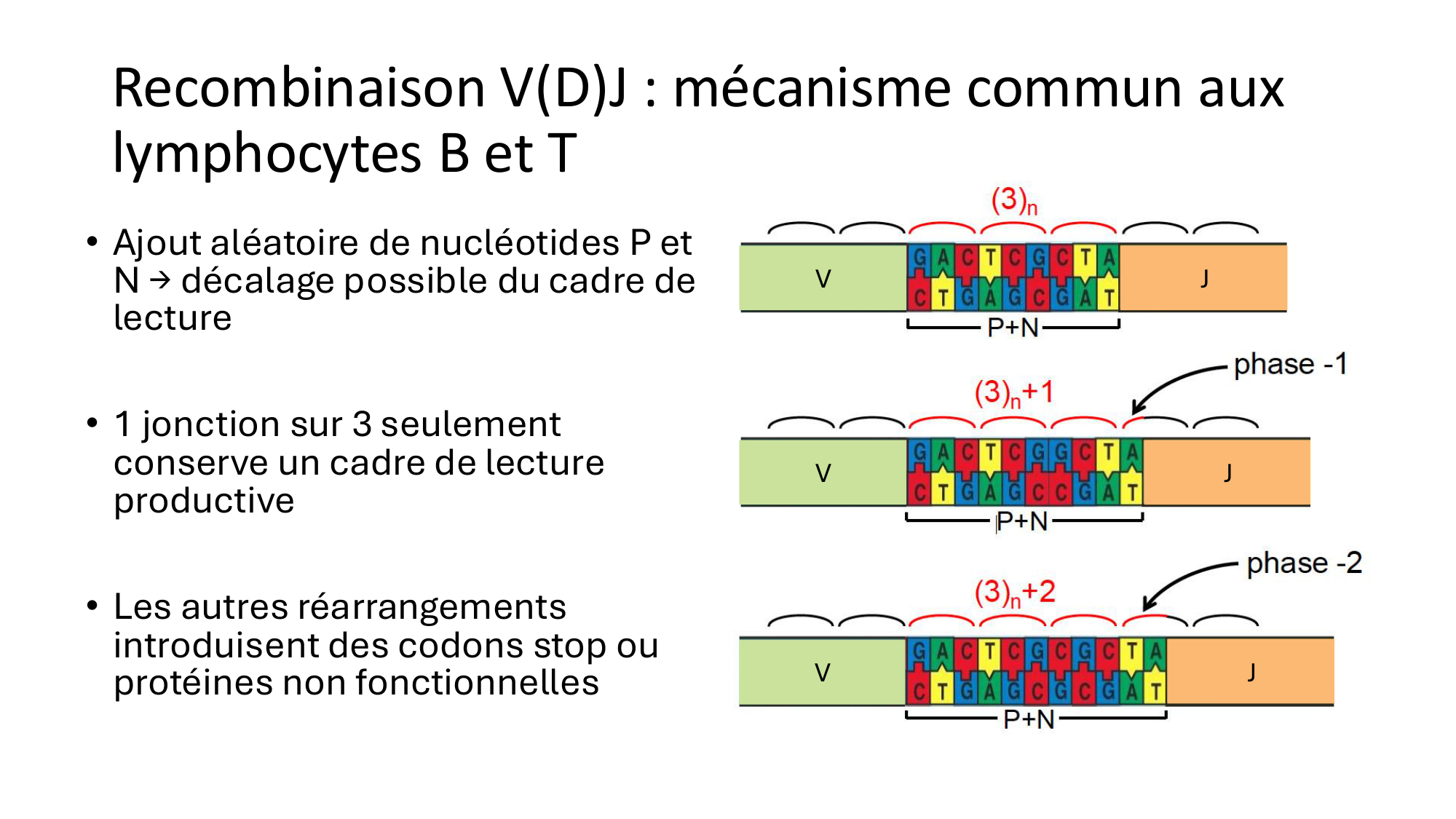 Répertoires B et T page 17