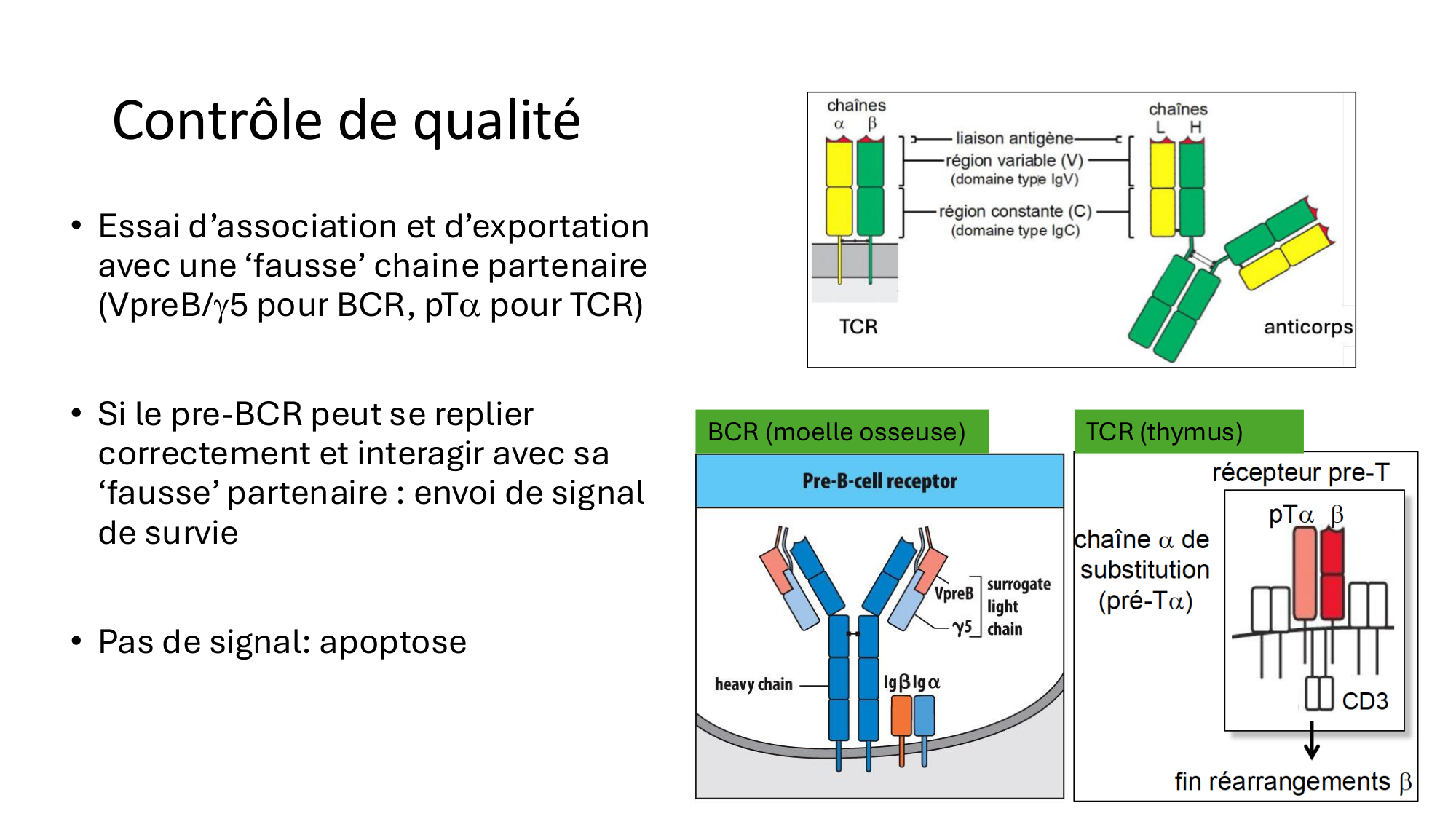 Répertoires B et T page 18