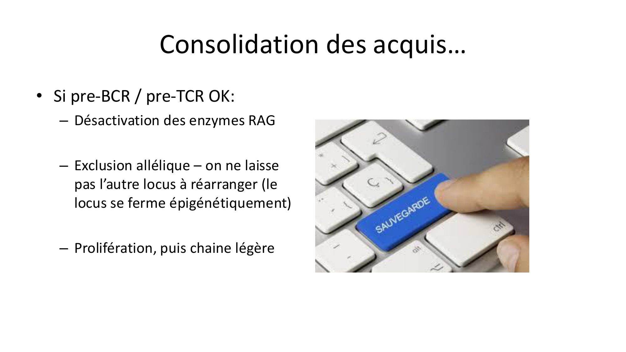 Répertoires B et T page 19