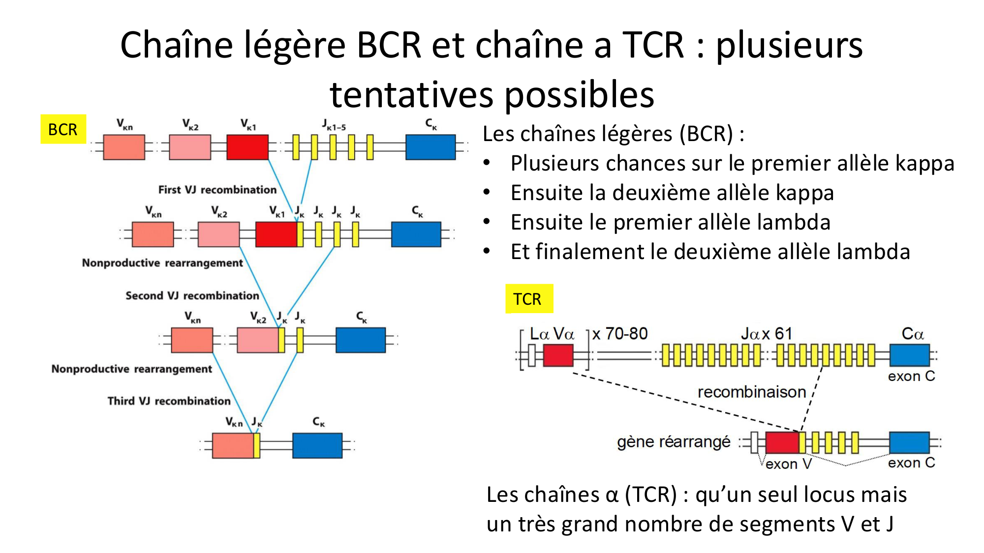 Répertoires B et T page 20