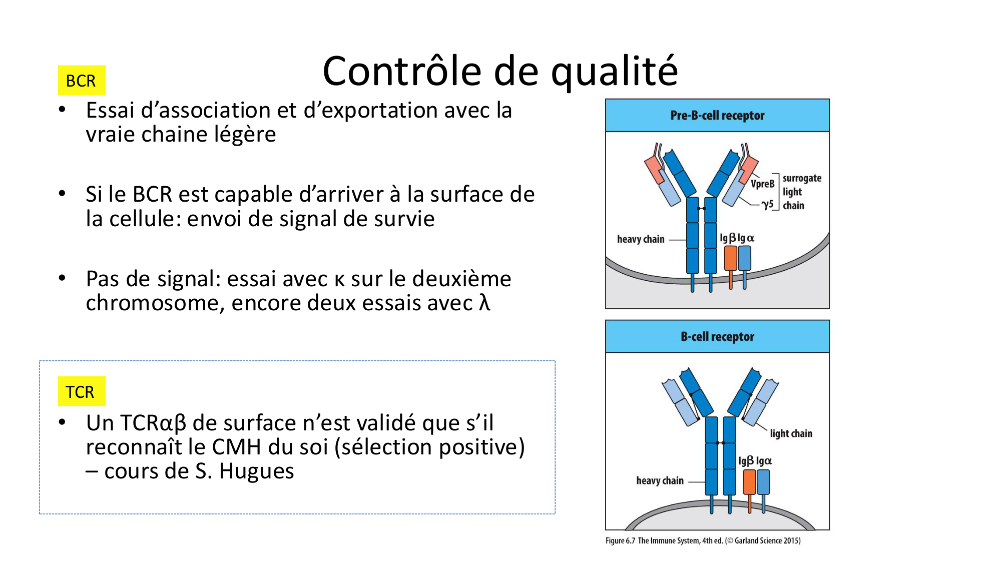 Répertoires B et T page 21