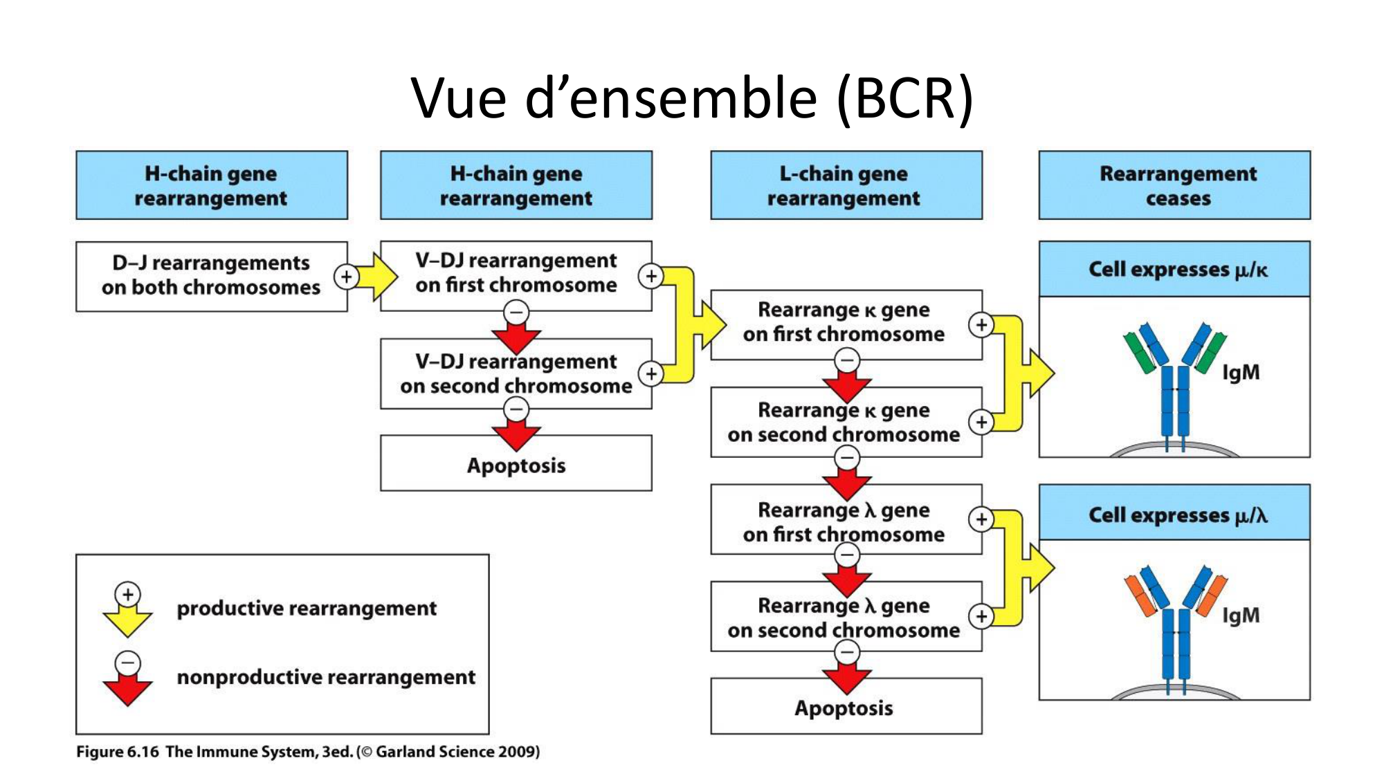 Répertoires B et T page 23