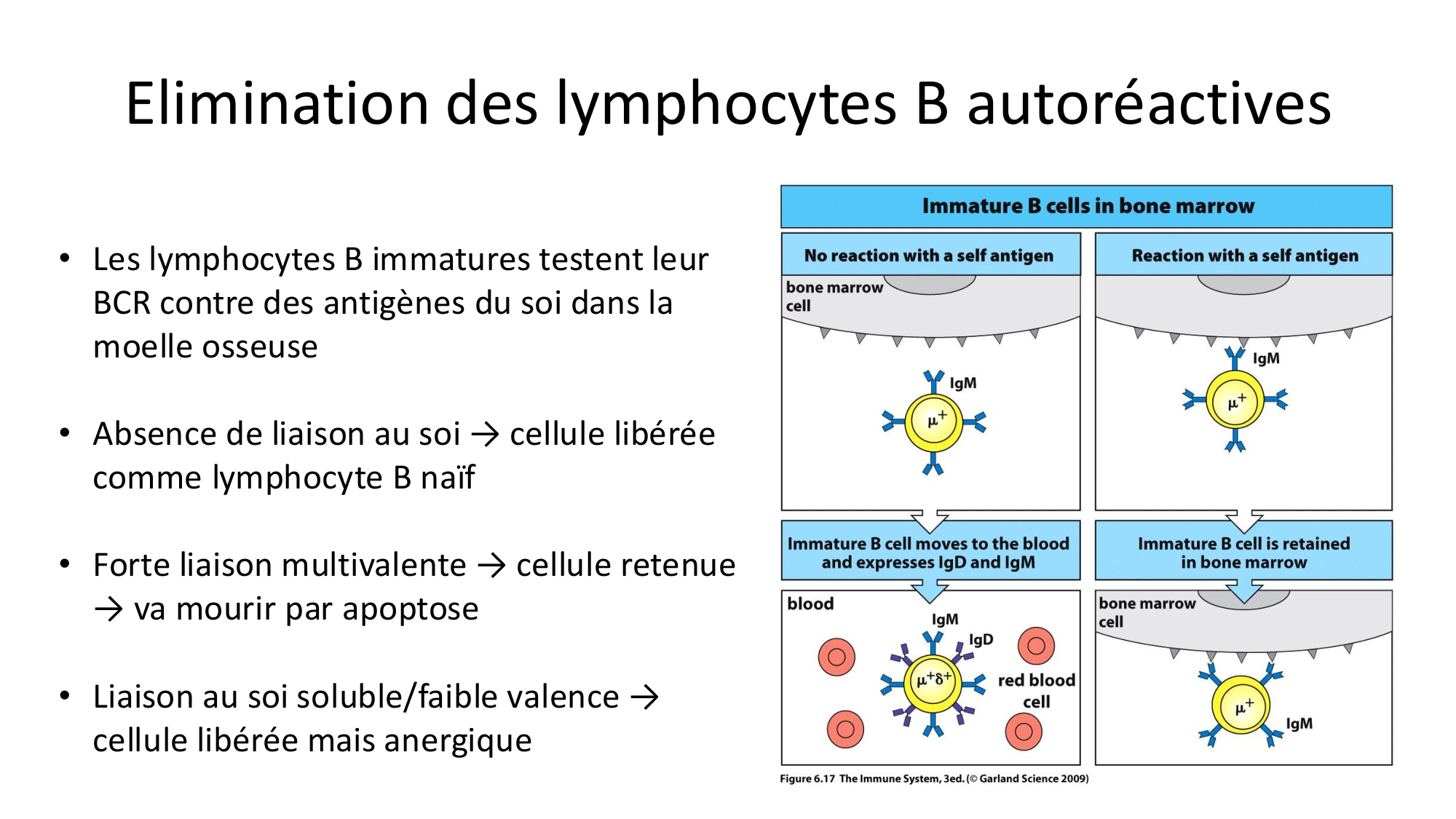 Répertoires B et T page 24