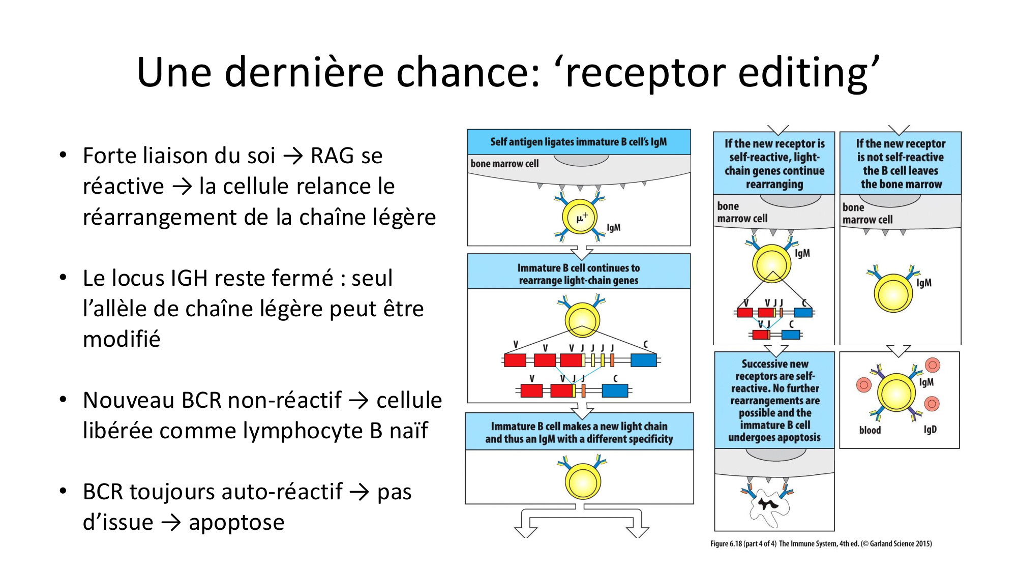 Répertoires B et T page 25
