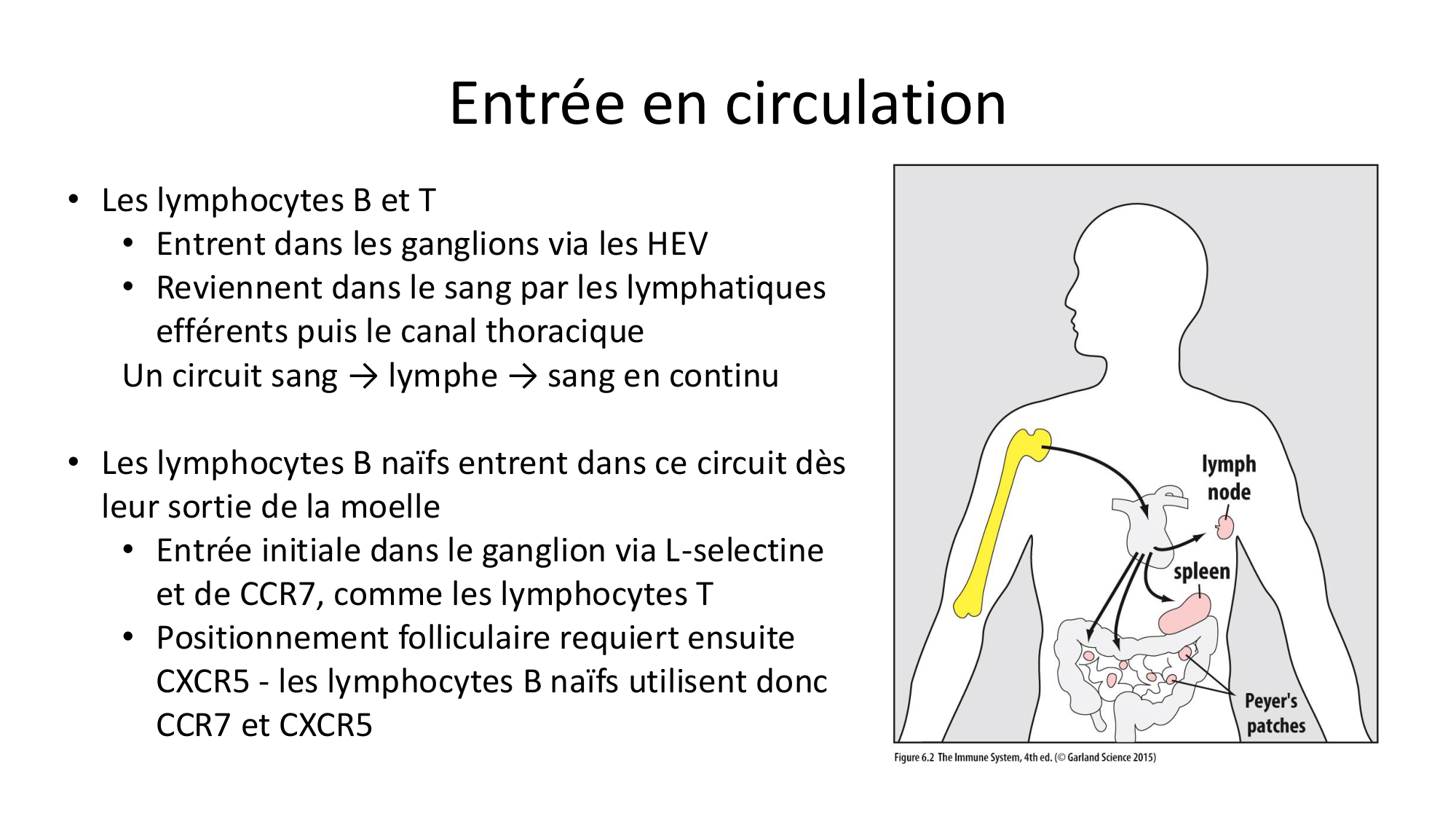 Répertoires B et T page 26