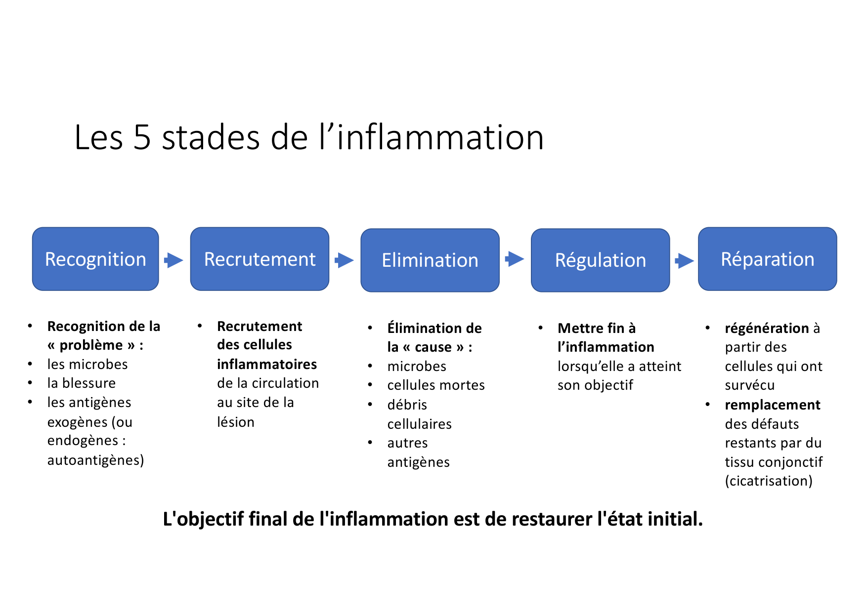 Résolution de linflammation 2026 Egervari page 4