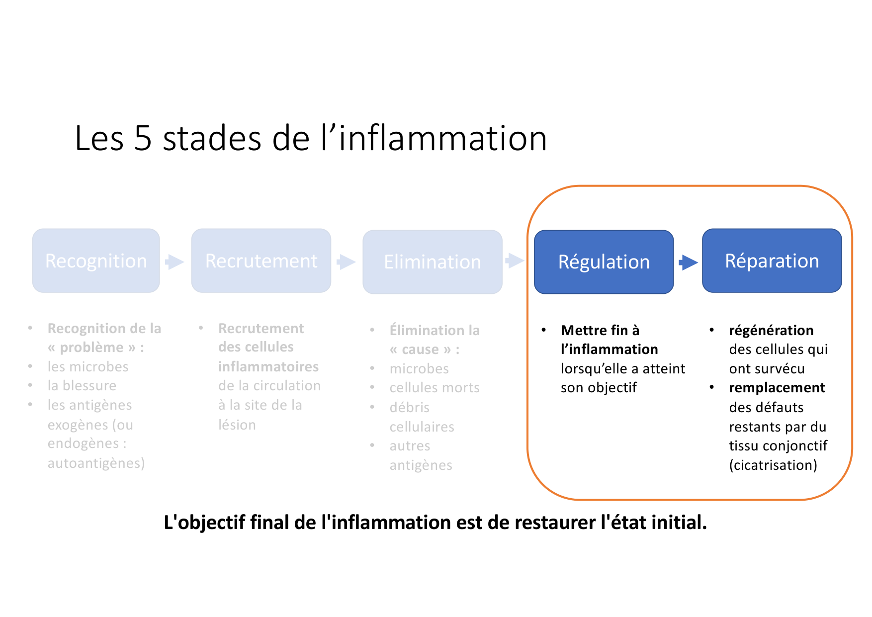 Résolution de linflammation 2026 Egervari page 5