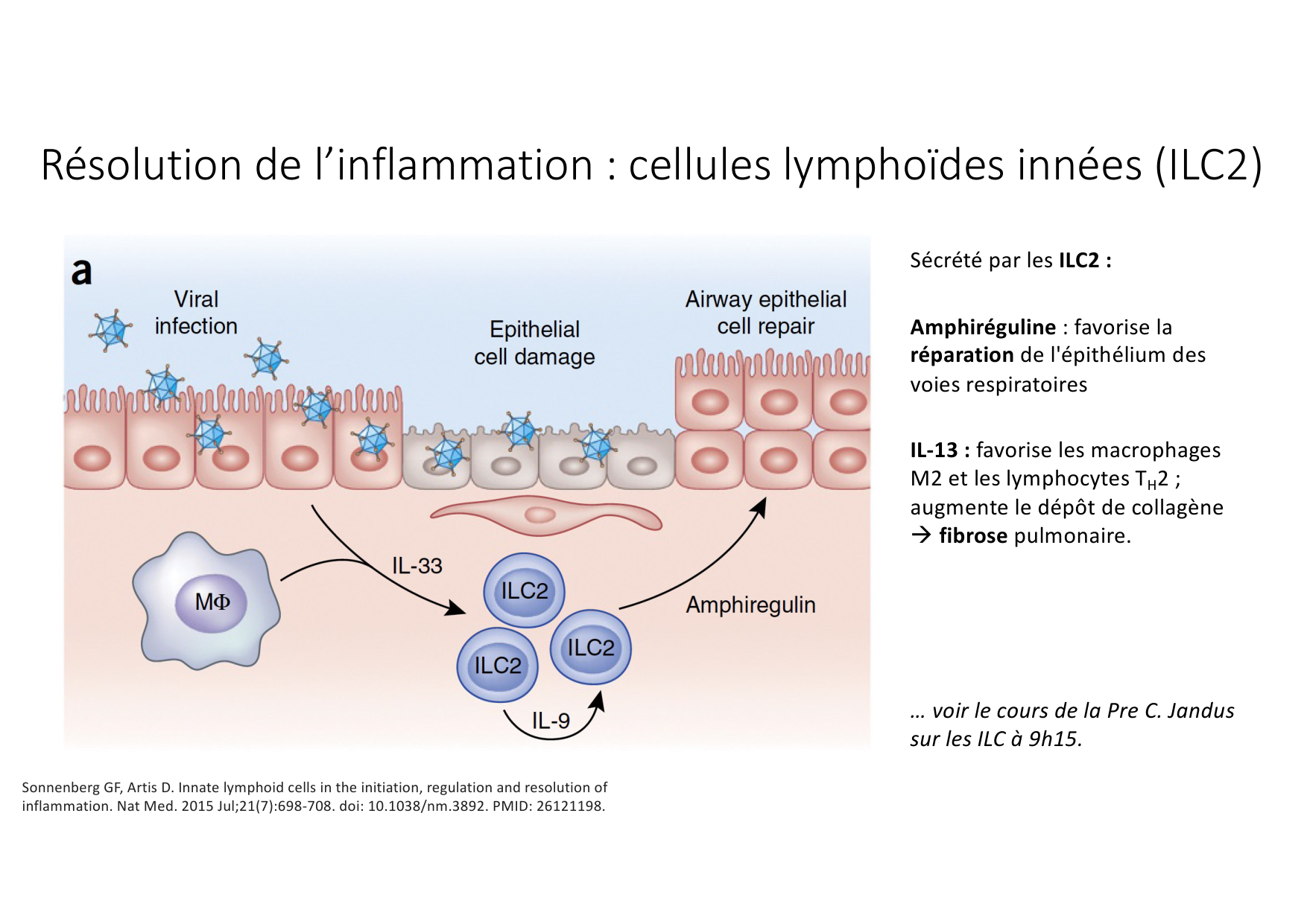 Résolution de linflammation 2026 Egervari page 18