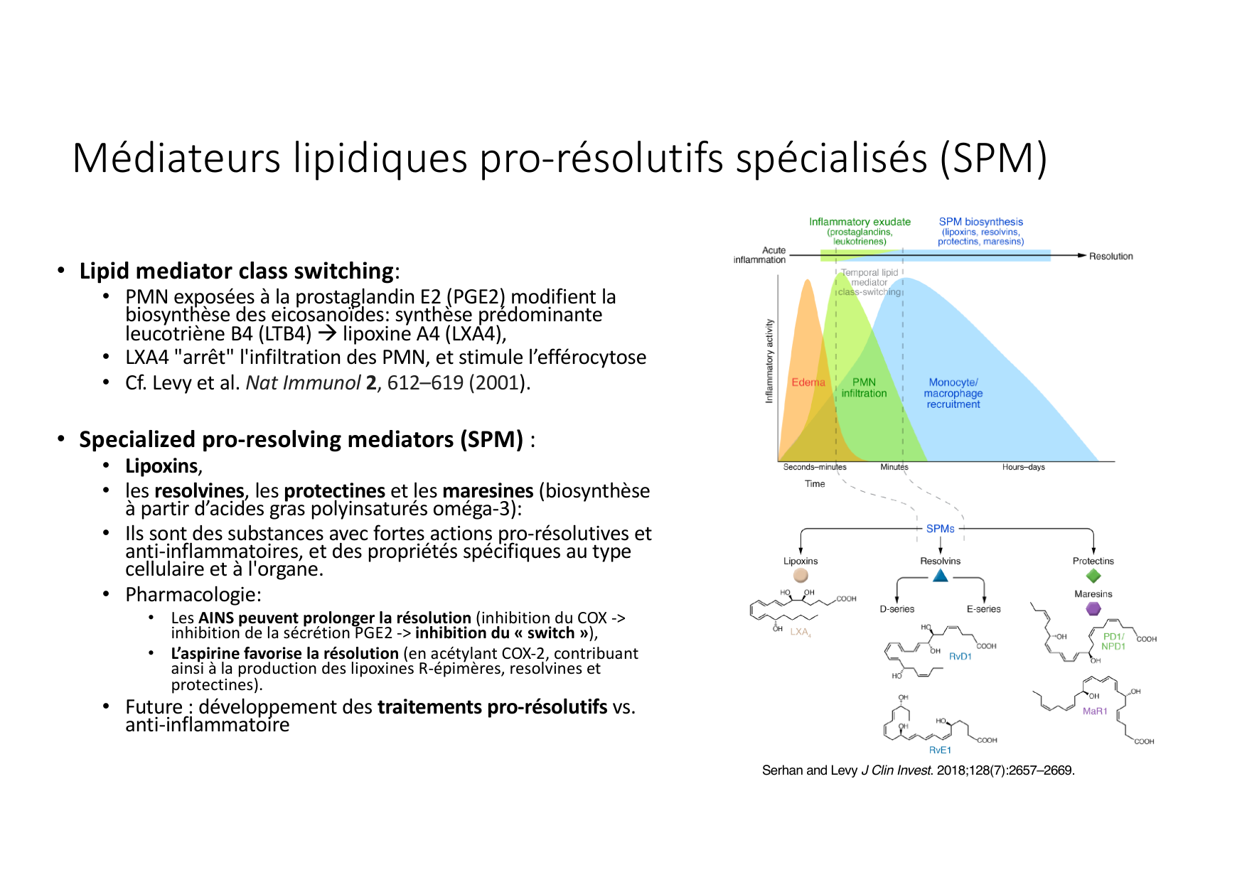Résolution de linflammation 2026 Egervari page 22