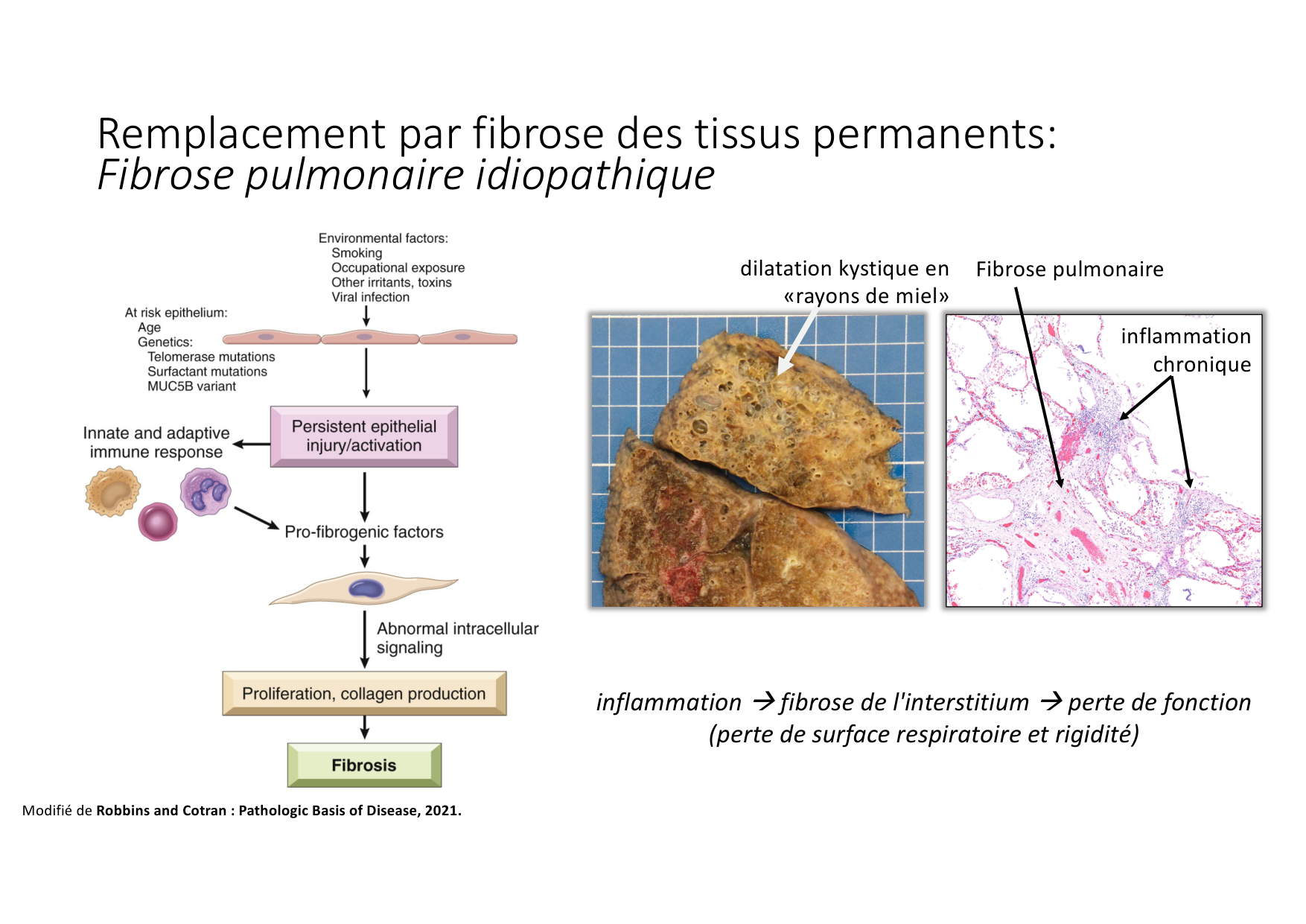 Résolution de linflammation 2026 Egervari page 44