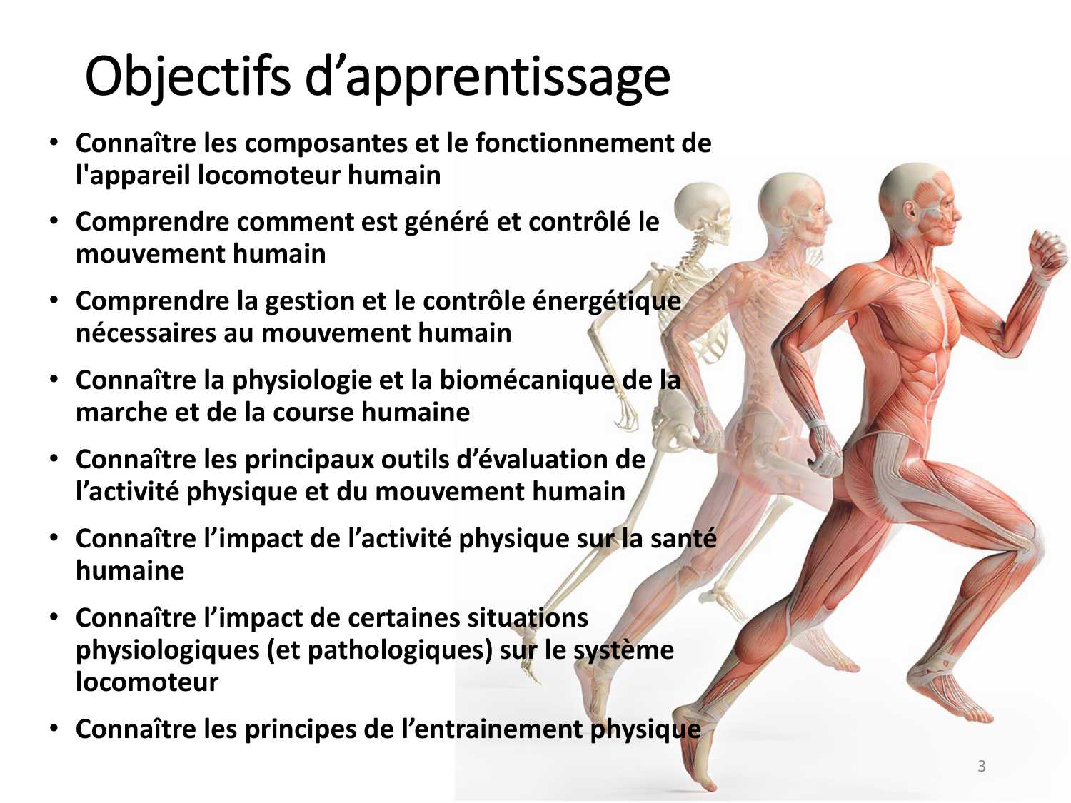 1-IntroductionLocomotion-2026 page 3