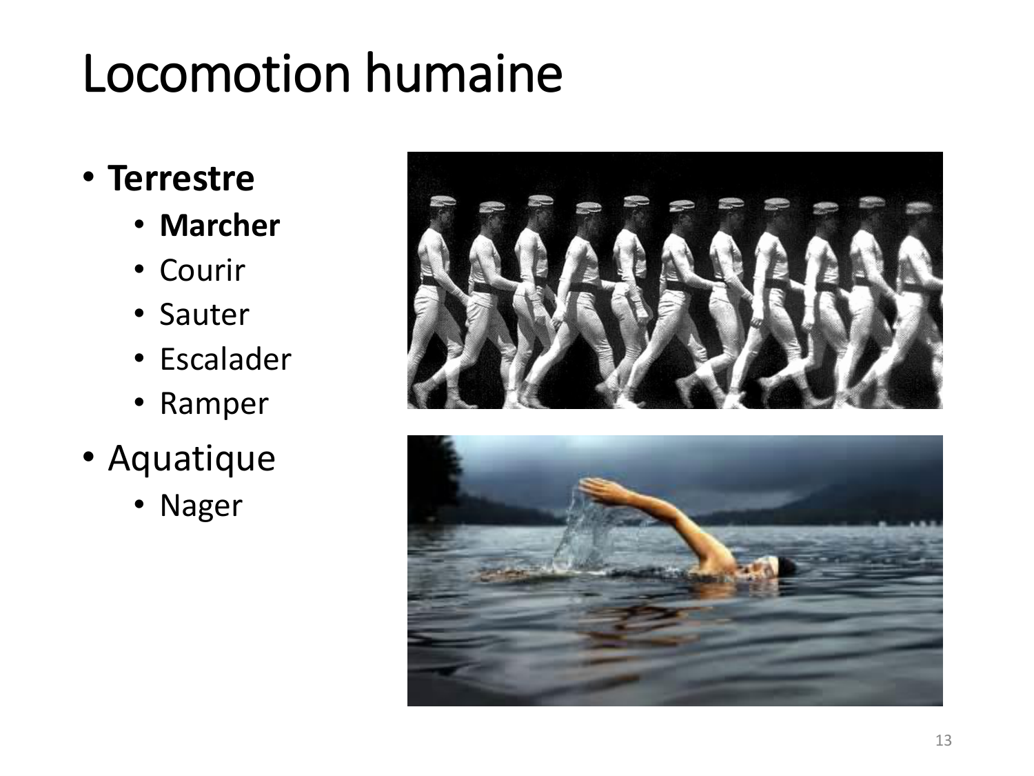 1-IntroductionLocomotion-2026 page 13