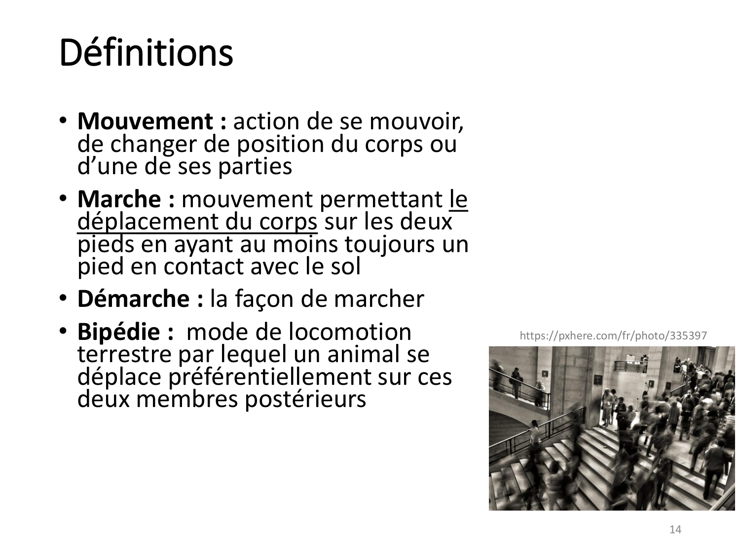 1-IntroductionLocomotion-2026 page 14