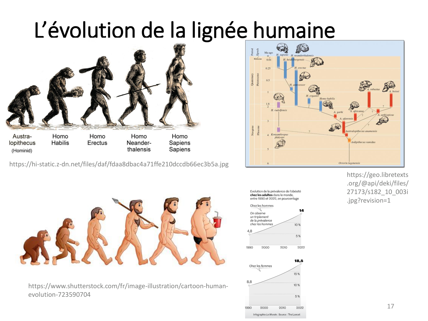 1-IntroductionLocomotion-2026 page 17