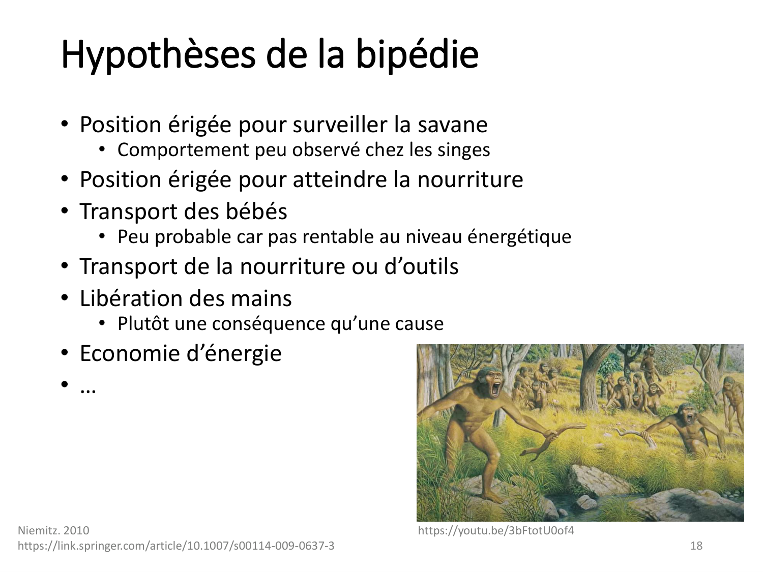 1-IntroductionLocomotion-2026 page 18