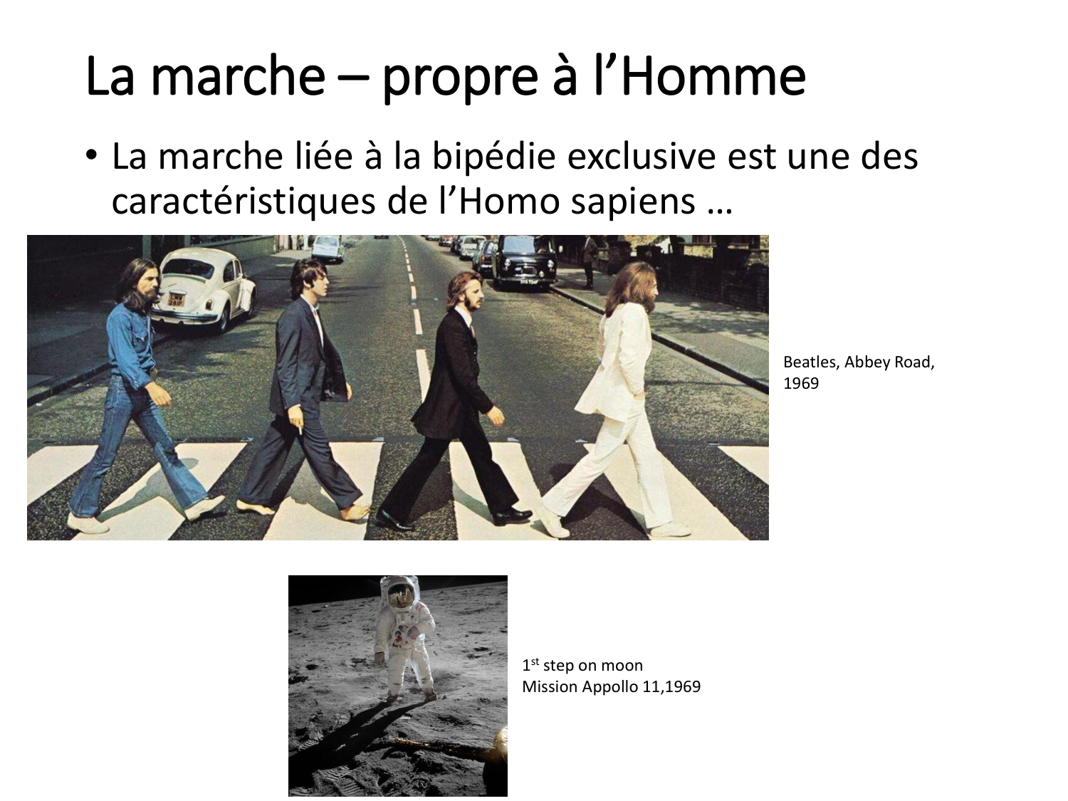 1-IntroductionLocomotion-2026 page 22