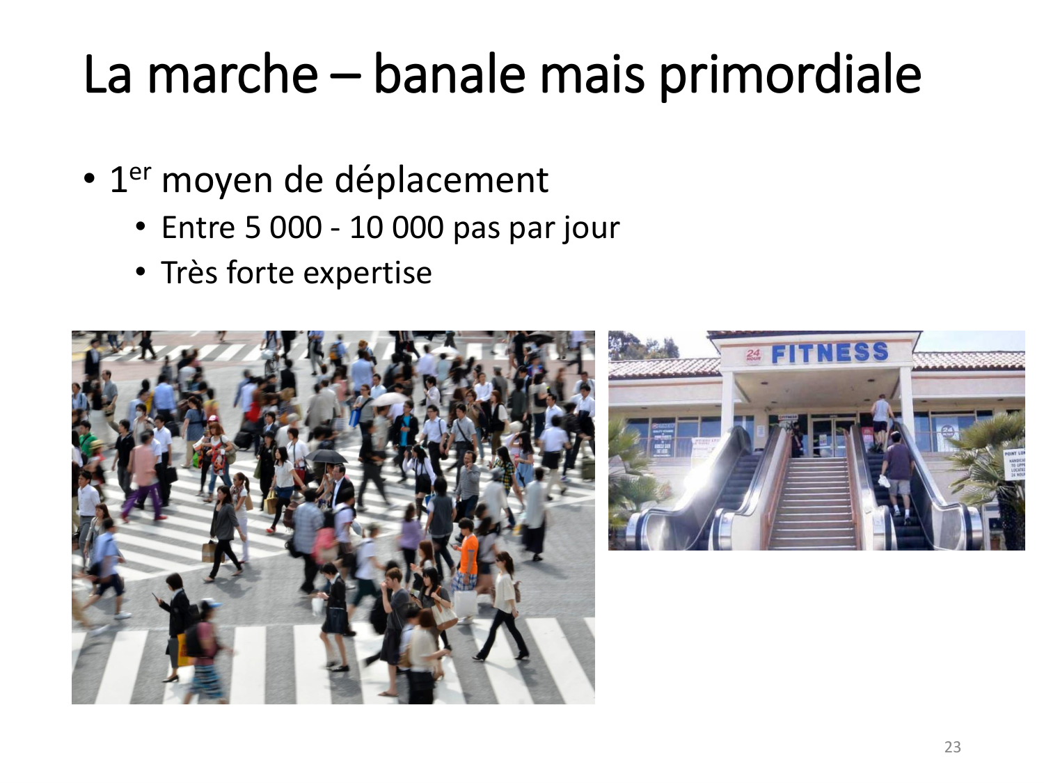 1-IntroductionLocomotion-2026 page 23