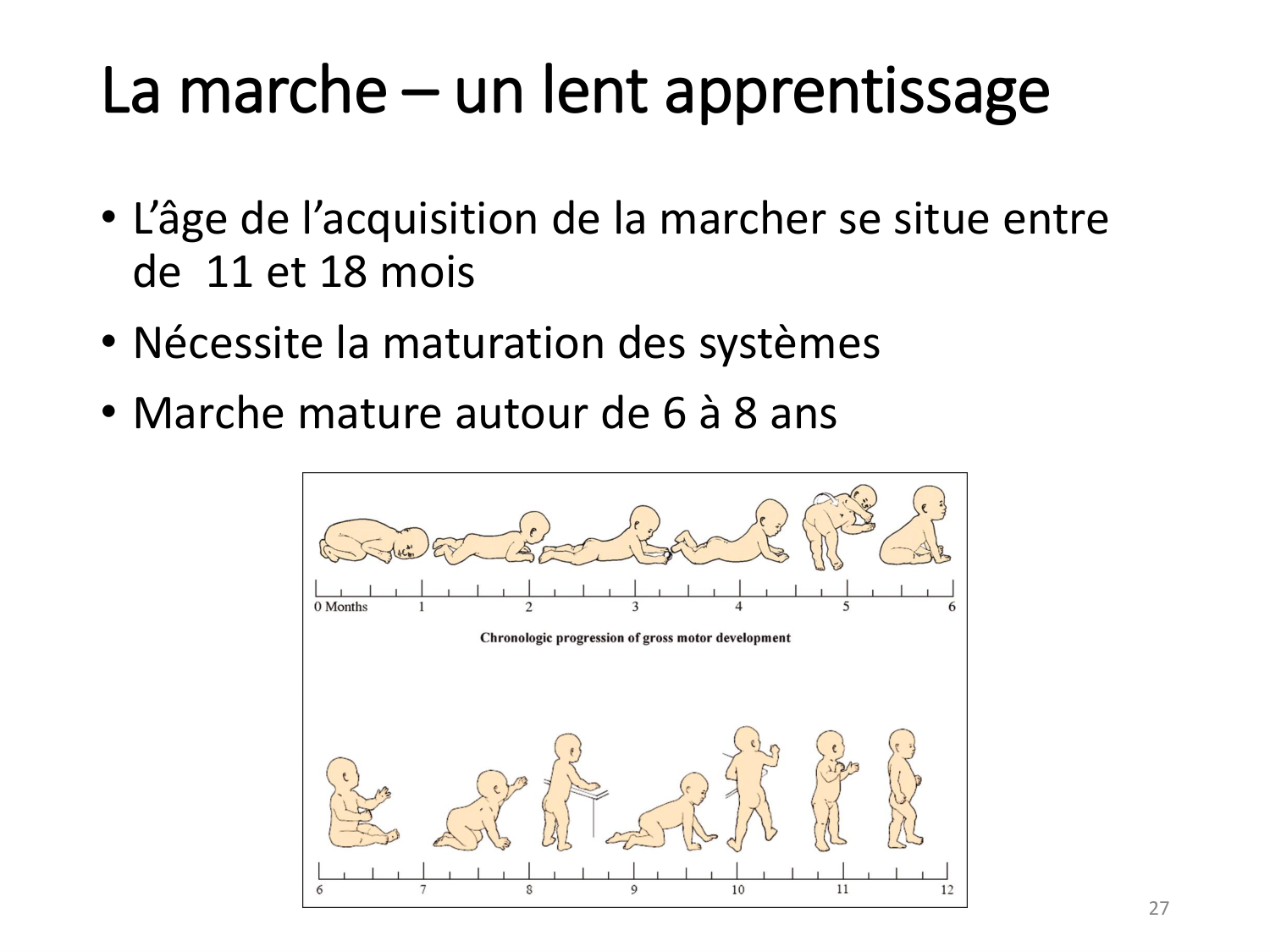 1-IntroductionLocomotion-2026 page 27