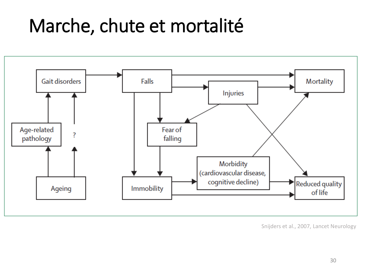 1-IntroductionLocomotion-2026 page 30