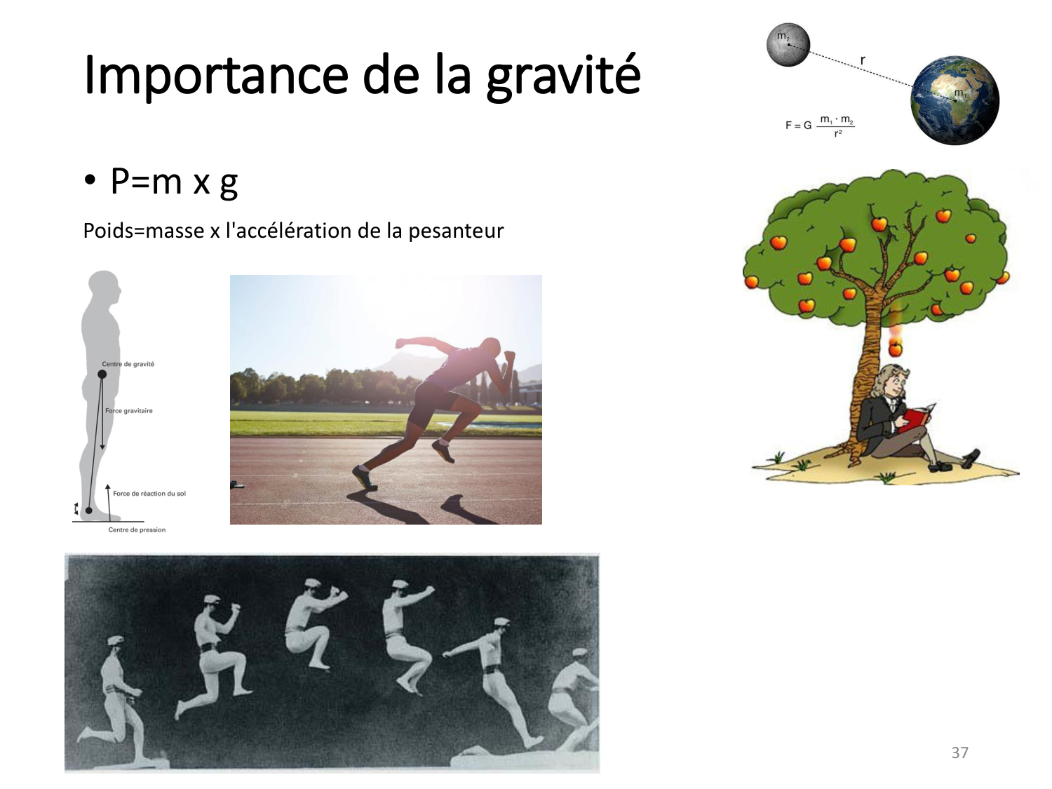 1-IntroductionLocomotion-2026 page 37