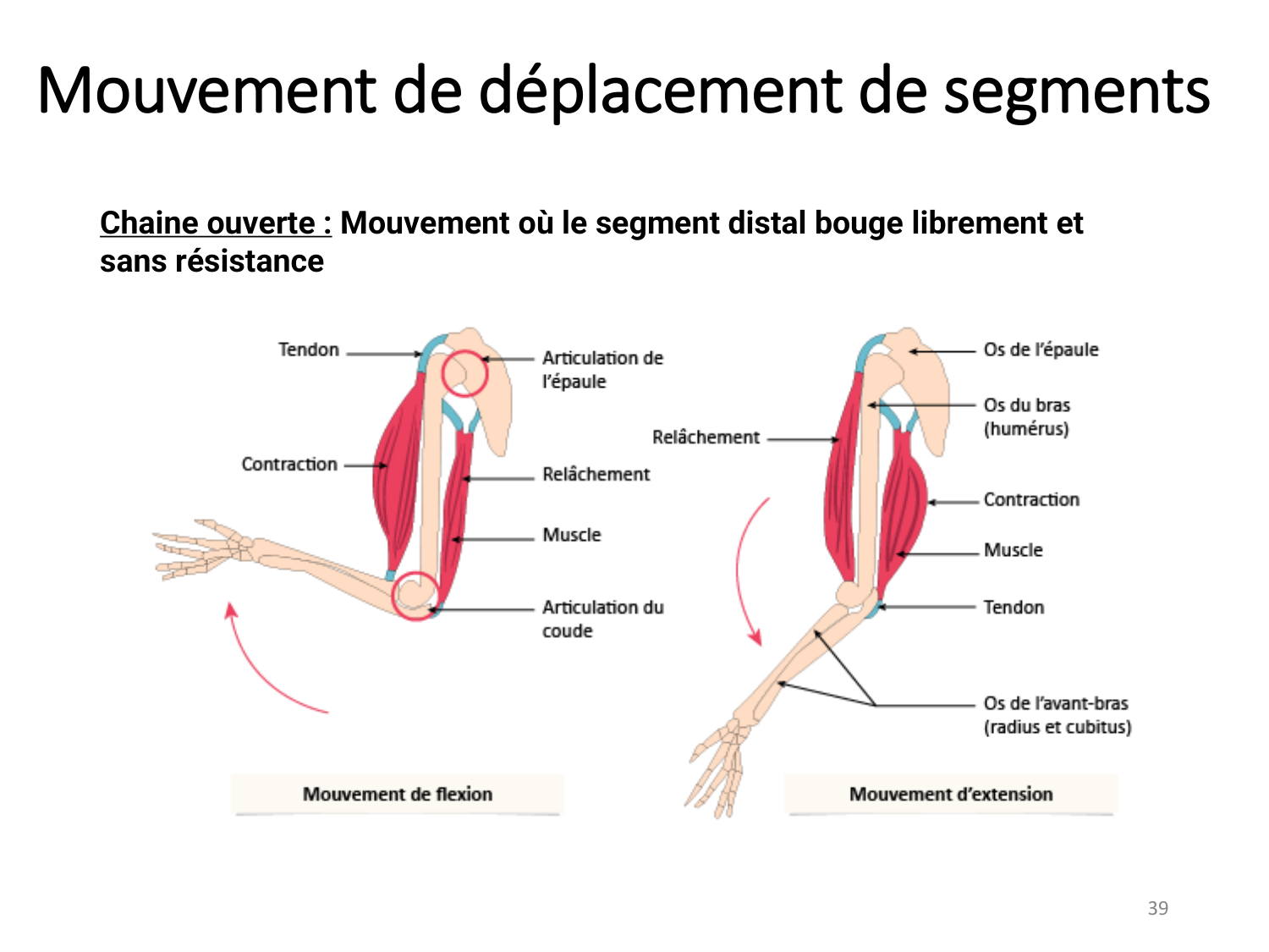 1-IntroductionLocomotion-2026 page 39