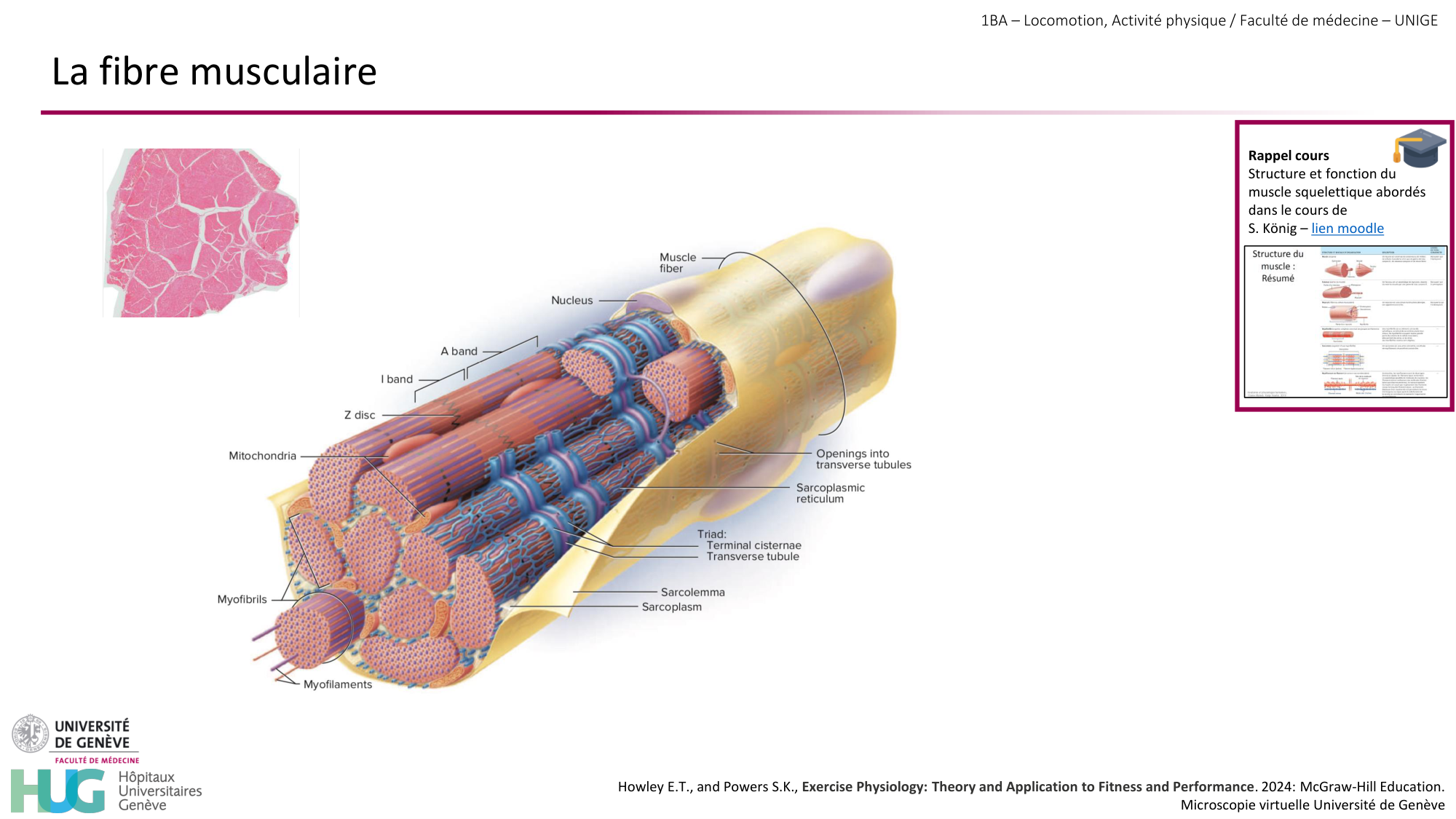 1BA 2025-2026 2026.04.13 - Energie du mouvement - Ivo NETO SILVA page 6