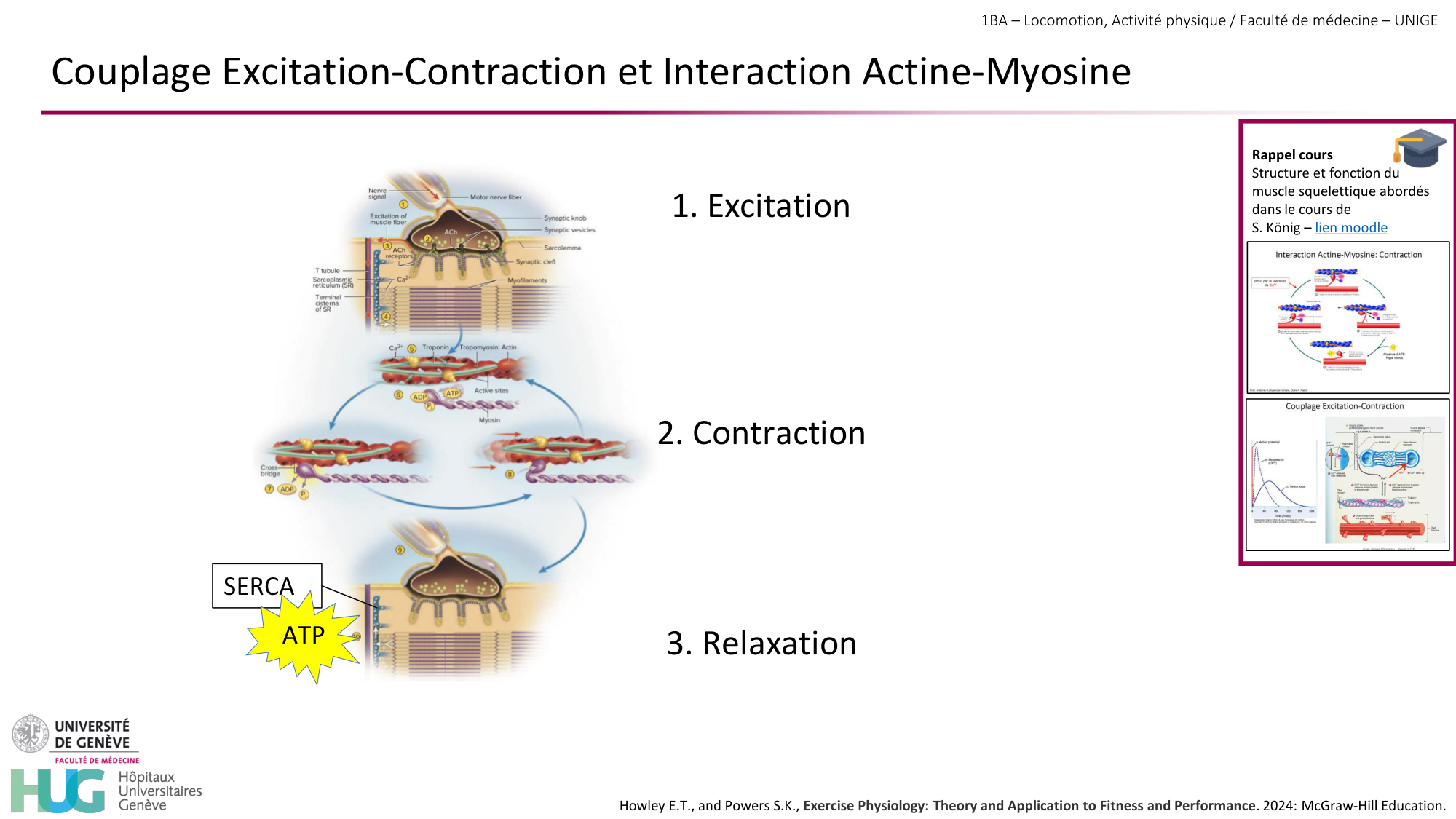 1BA 2025-2026 2026.04.13 - Energie du mouvement - Ivo NETO SILVA page 7