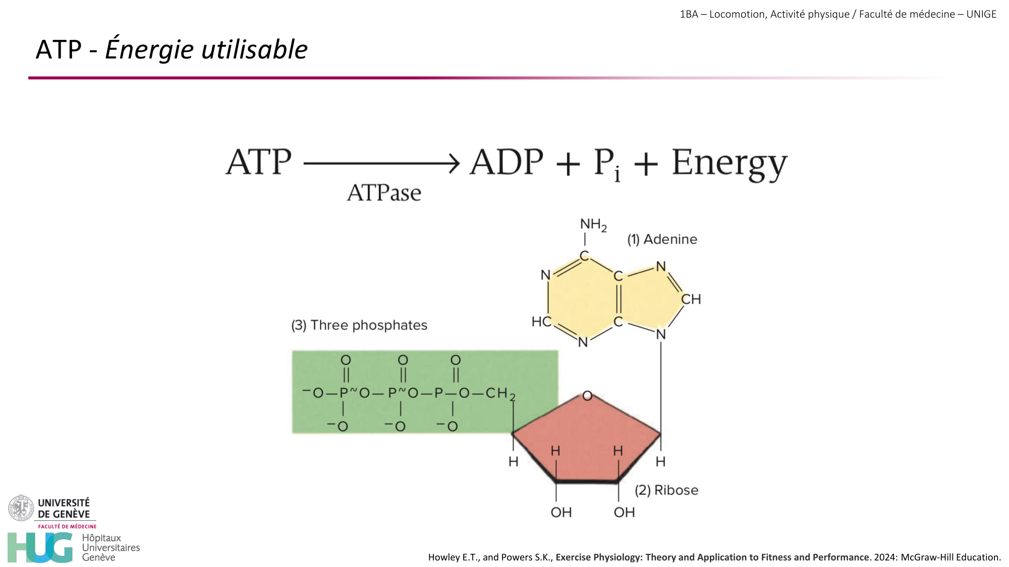 1BA 2025-2026 2026.04.13 - Energie du mouvement - Ivo NETO SILVA page 11