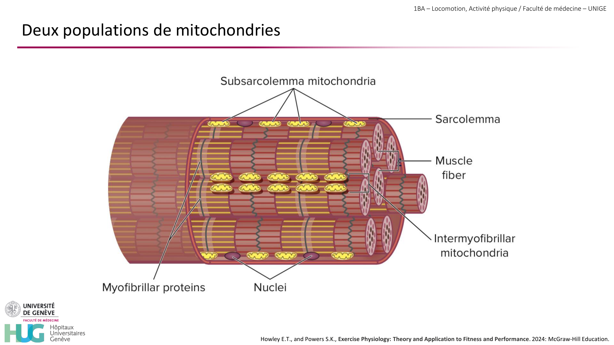 1BA 2025-2026 2026.04.13 - Energie du mouvement - Ivo NETO SILVA page 13