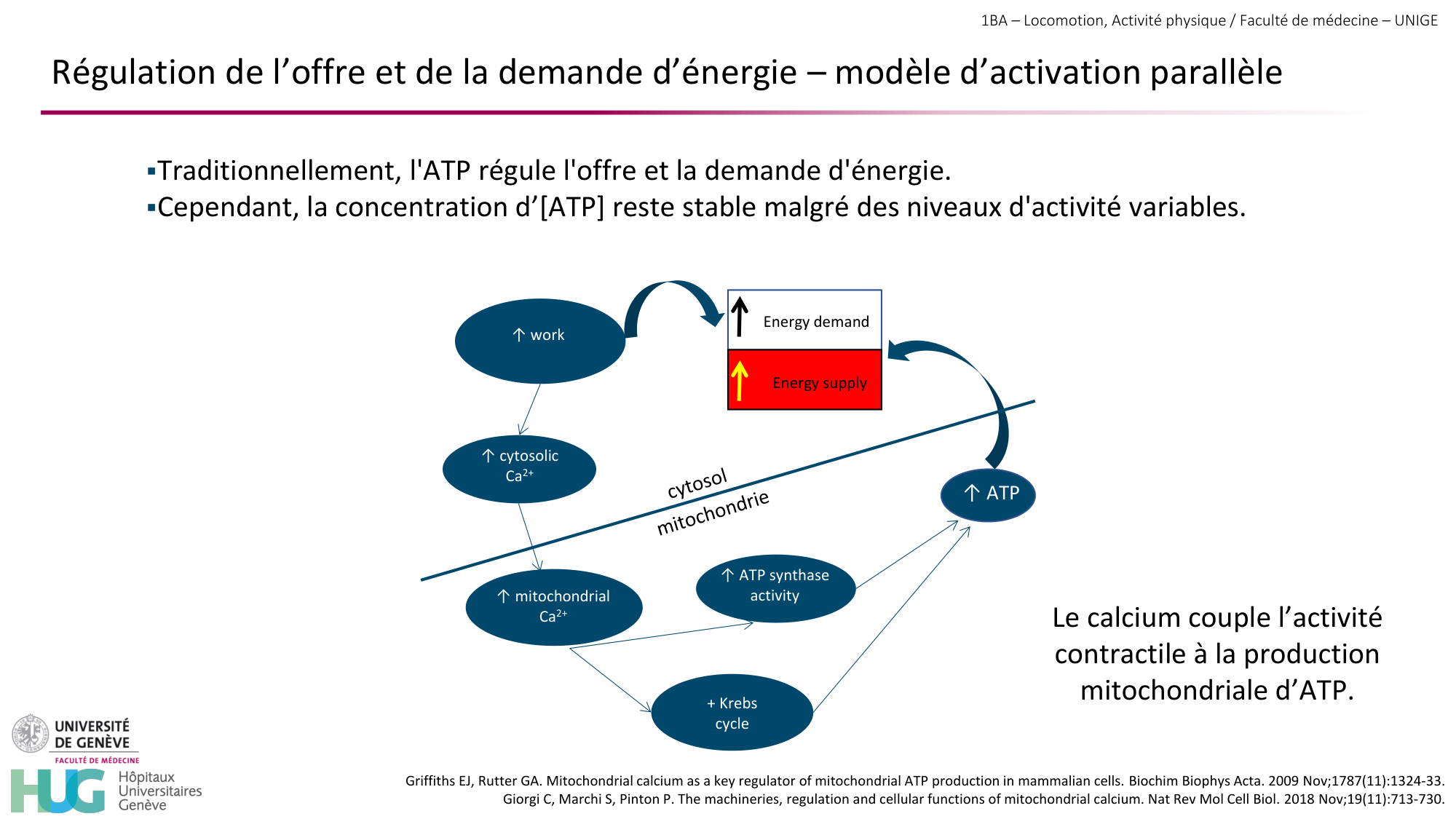 1BA 2025-2026 2026.04.13 - Energie du mouvement - Ivo NETO SILVA page 16