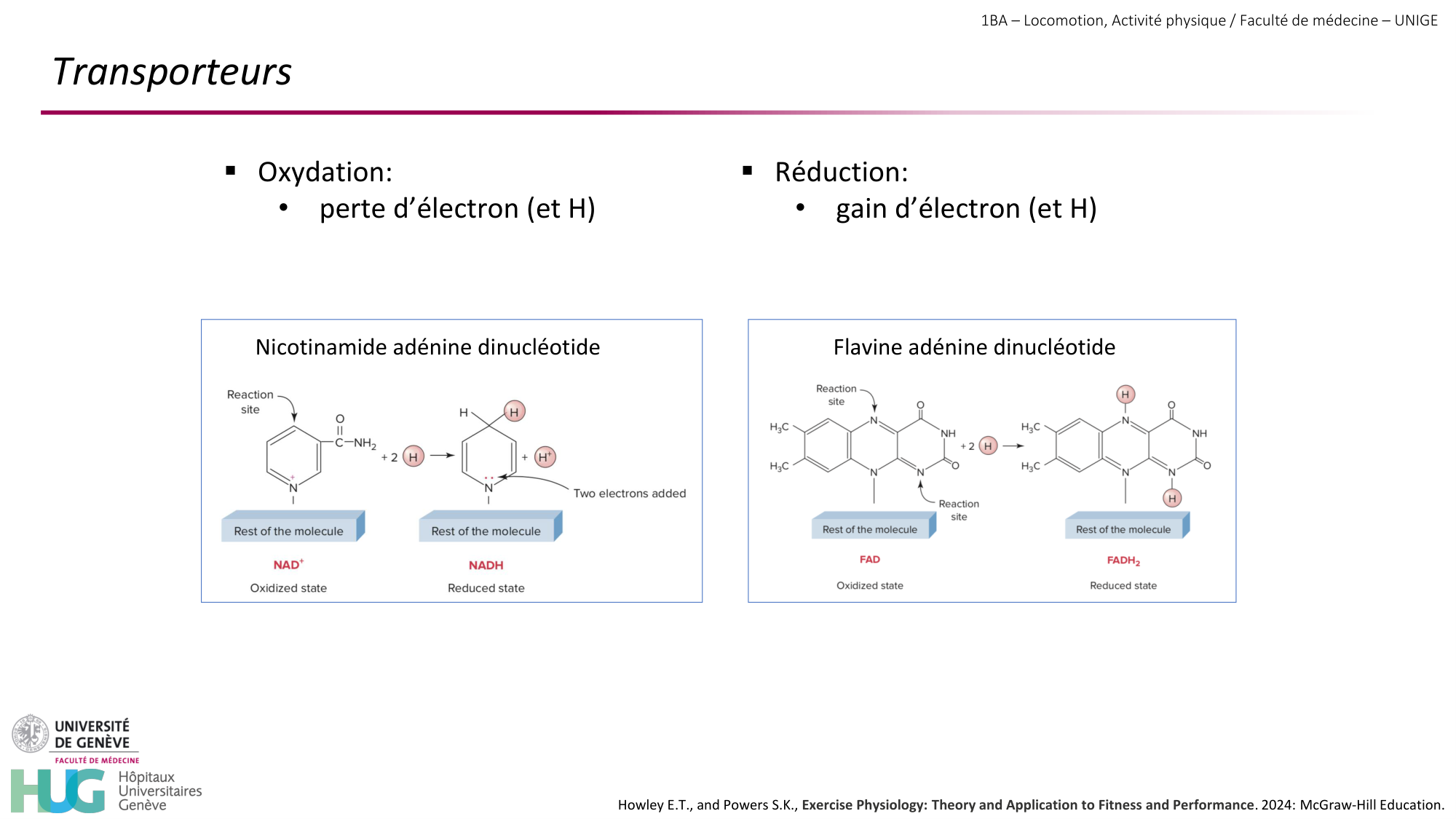 1BA 2025-2026 2026.04.13 - Energie du mouvement - Ivo NETO SILVA page 18