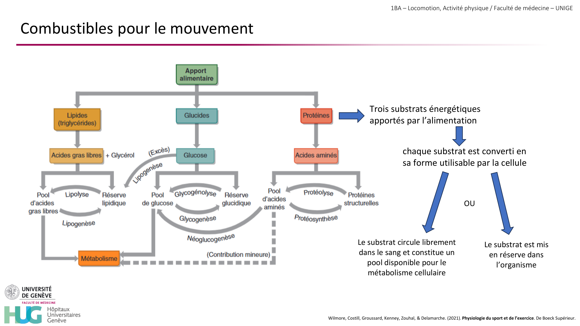 1BA 2025-2026 2026.04.13 - Energie du mouvement - Ivo NETO SILVA page 19