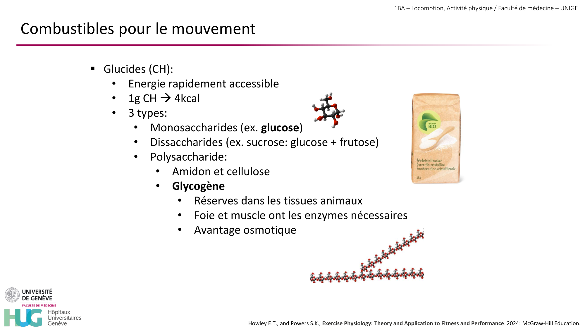 1BA 2025-2026 2026.04.13 - Energie du mouvement - Ivo NETO SILVA page 20
