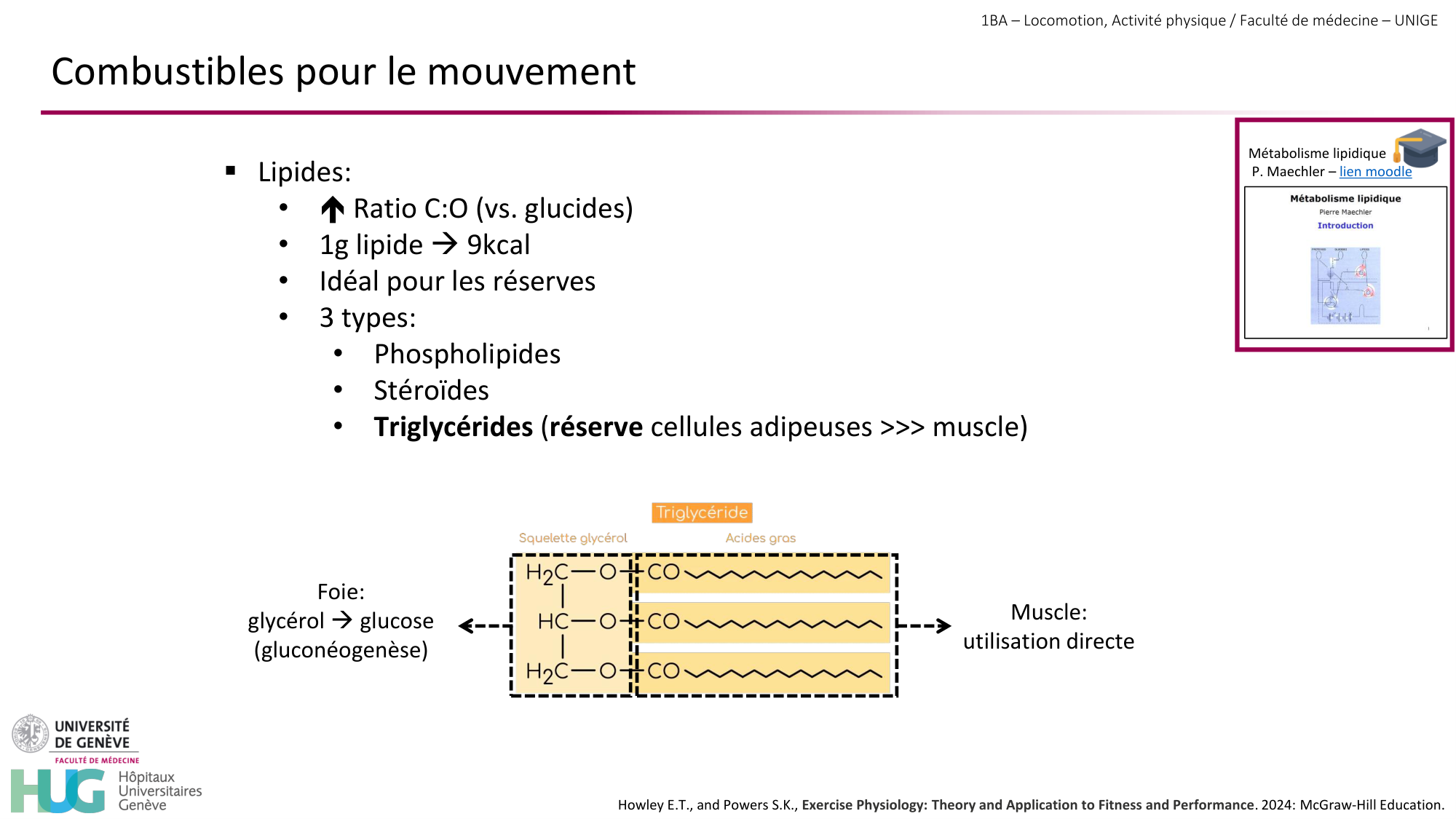 1BA 2025-2026 2026.04.13 - Energie du mouvement - Ivo NETO SILVA page 21