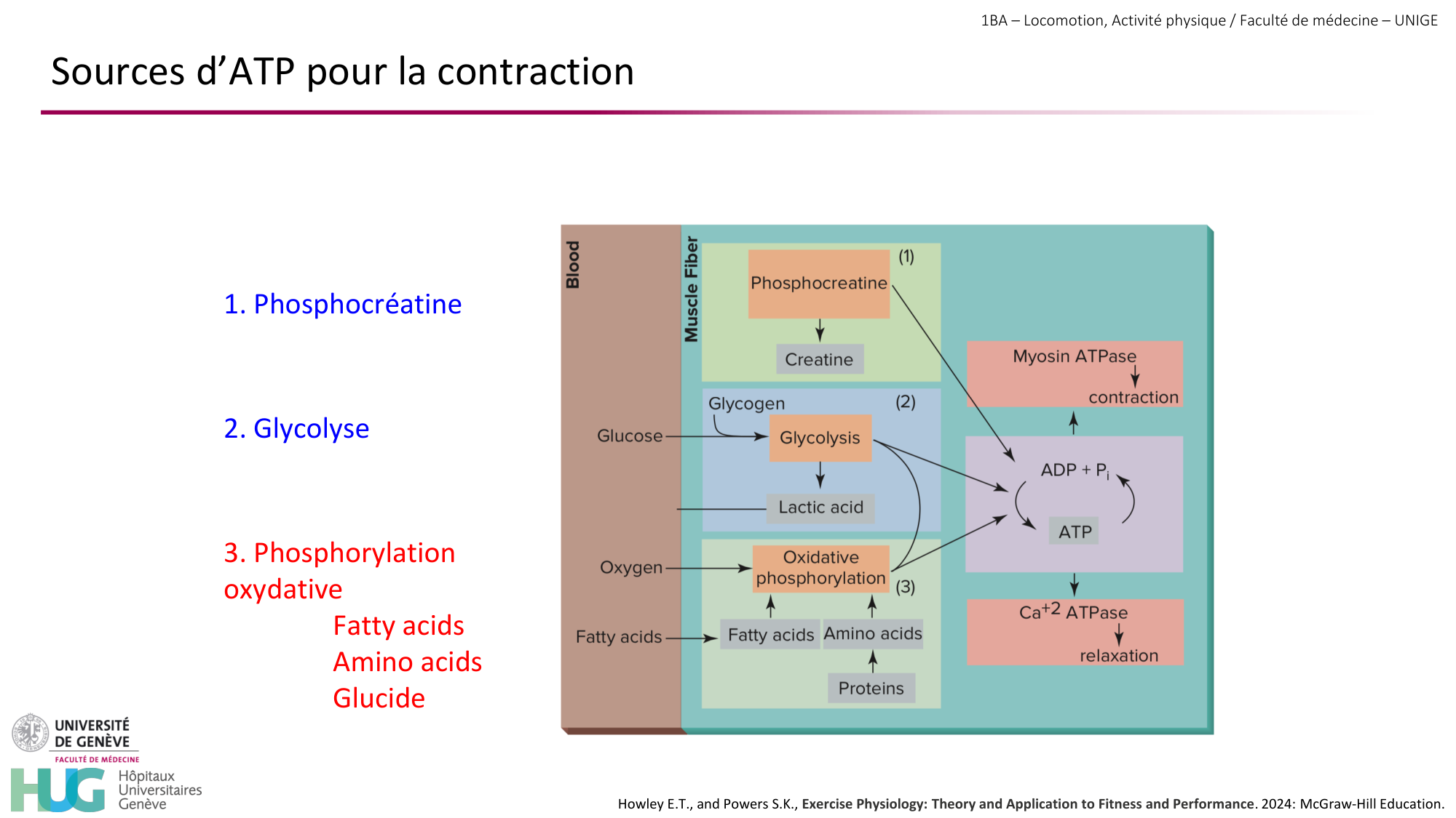 1BA 2025-2026 2026.04.13 - Energie du mouvement - Ivo NETO SILVA page 23