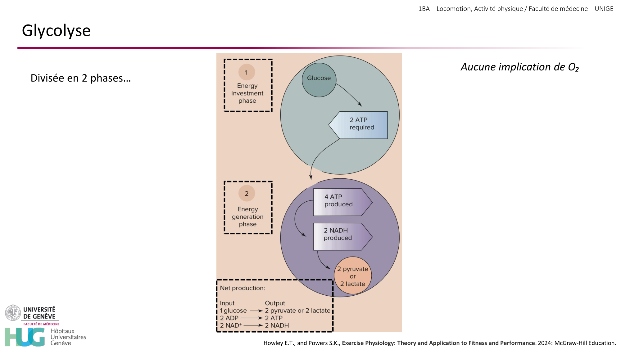 1BA 2025-2026 2026.04.13 - Energie du mouvement - Ivo NETO SILVA page 26