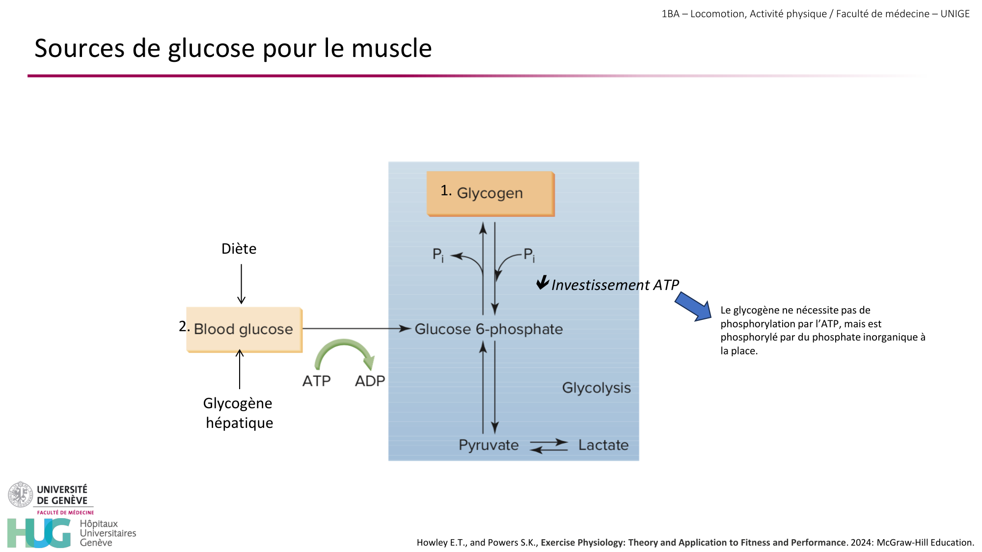 1BA 2025-2026 2026.04.13 - Energie du mouvement - Ivo NETO SILVA page 27