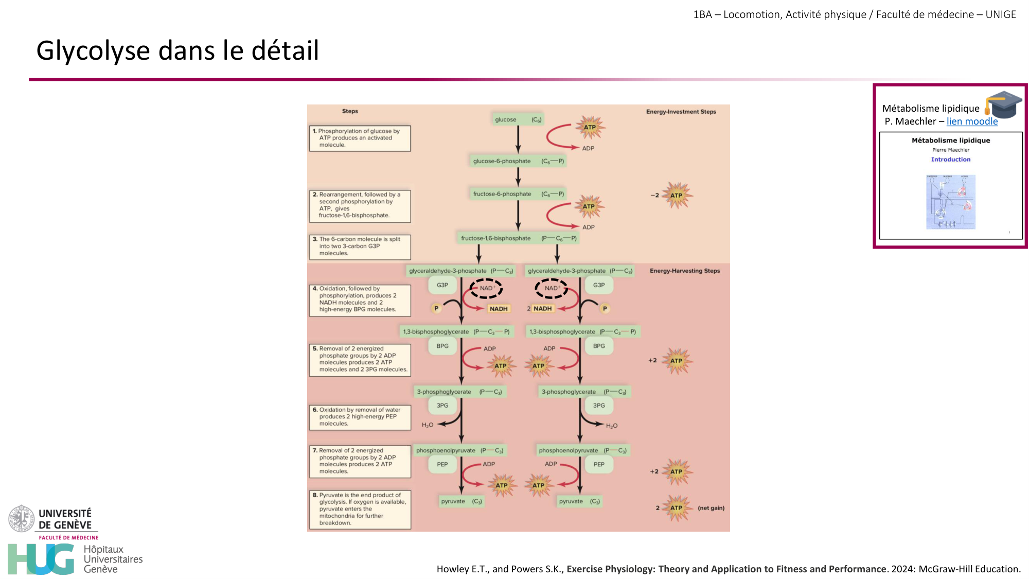 1BA 2025-2026 2026.04.13 - Energie du mouvement - Ivo NETO SILVA page 28