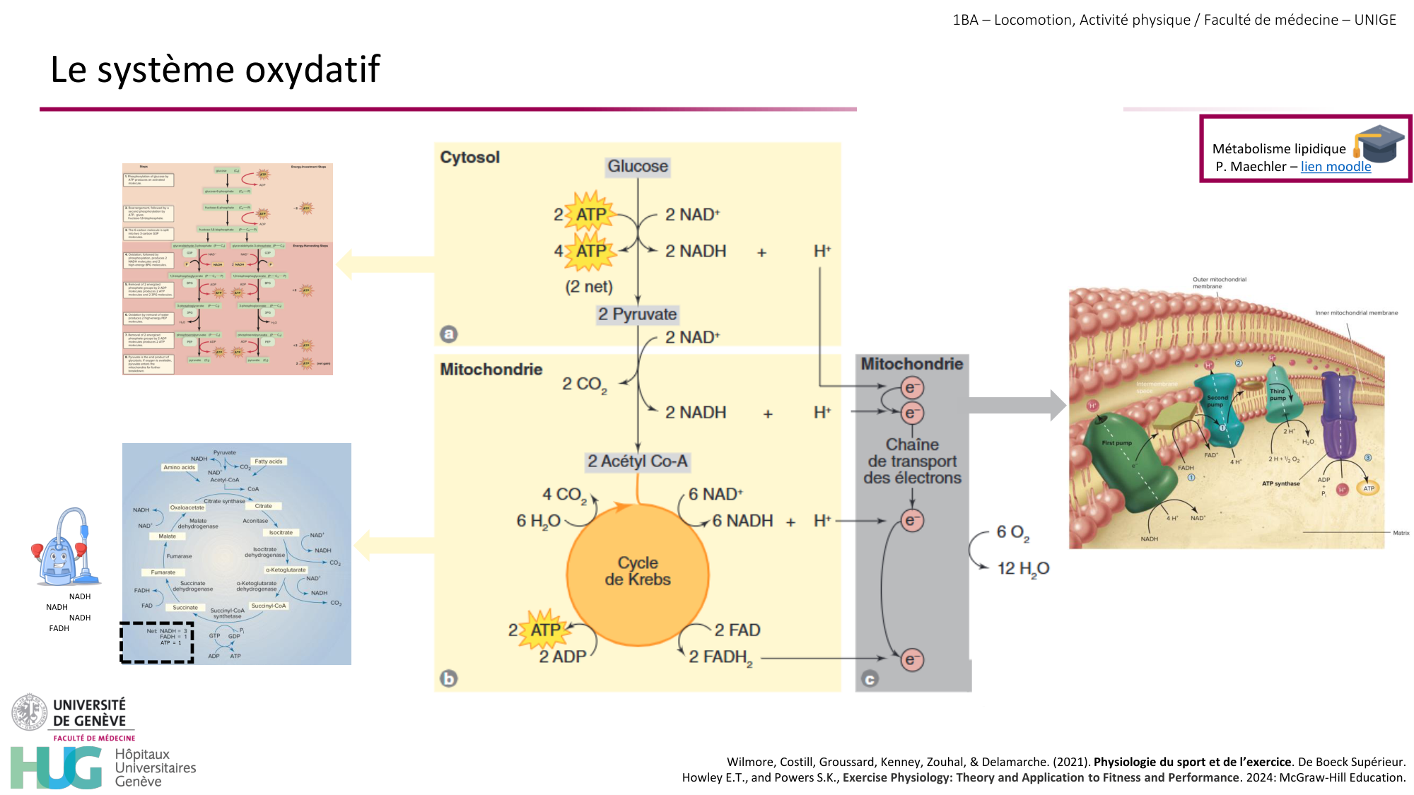 1BA 2025-2026 2026.04.13 - Energie du mouvement - Ivo NETO SILVA page 29