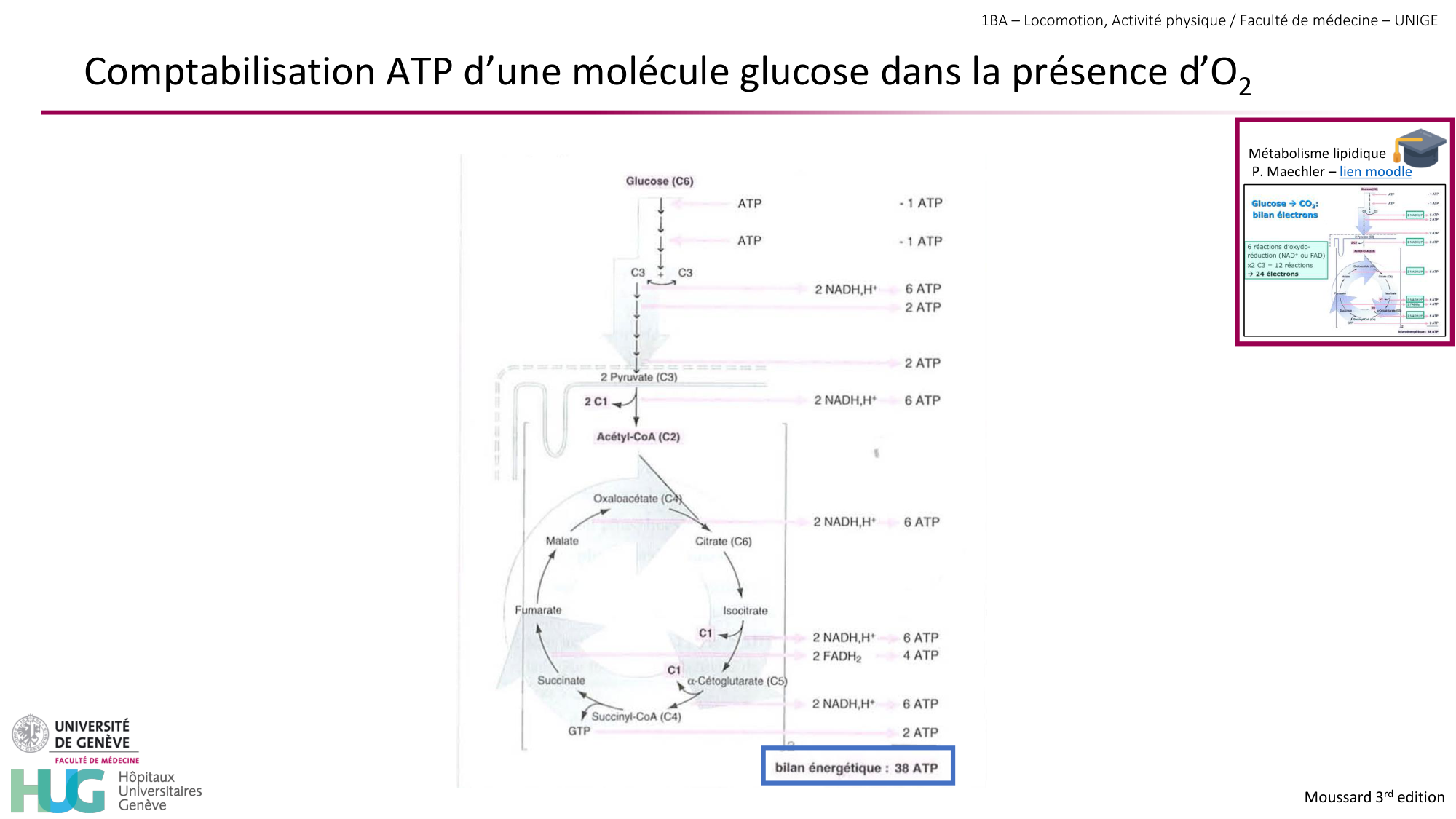 1BA 2025-2026 2026.04.13 - Energie du mouvement - Ivo NETO SILVA page 30