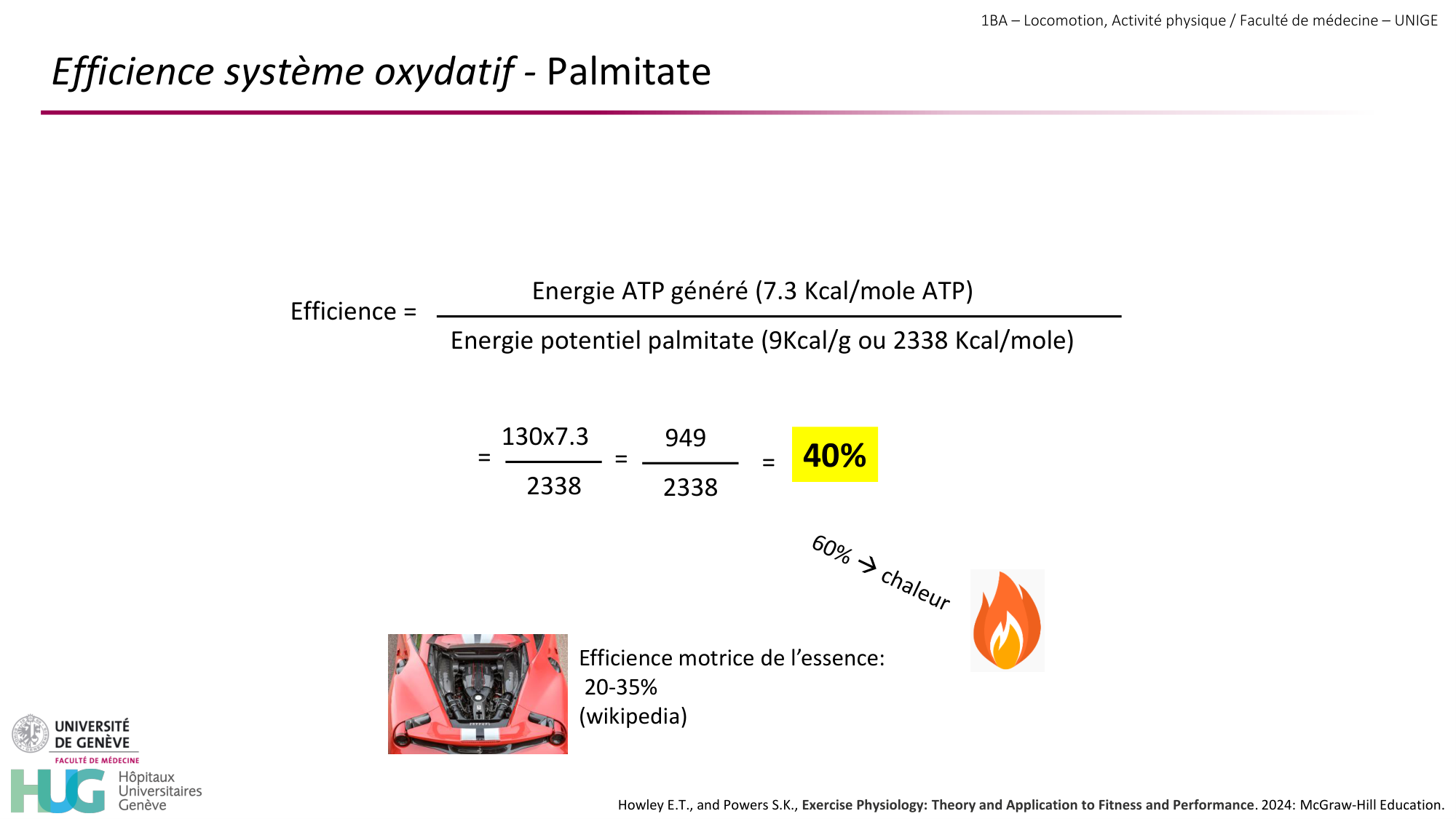 1BA 2025-2026 2026.04.13 - Energie du mouvement - Ivo NETO SILVA page 33