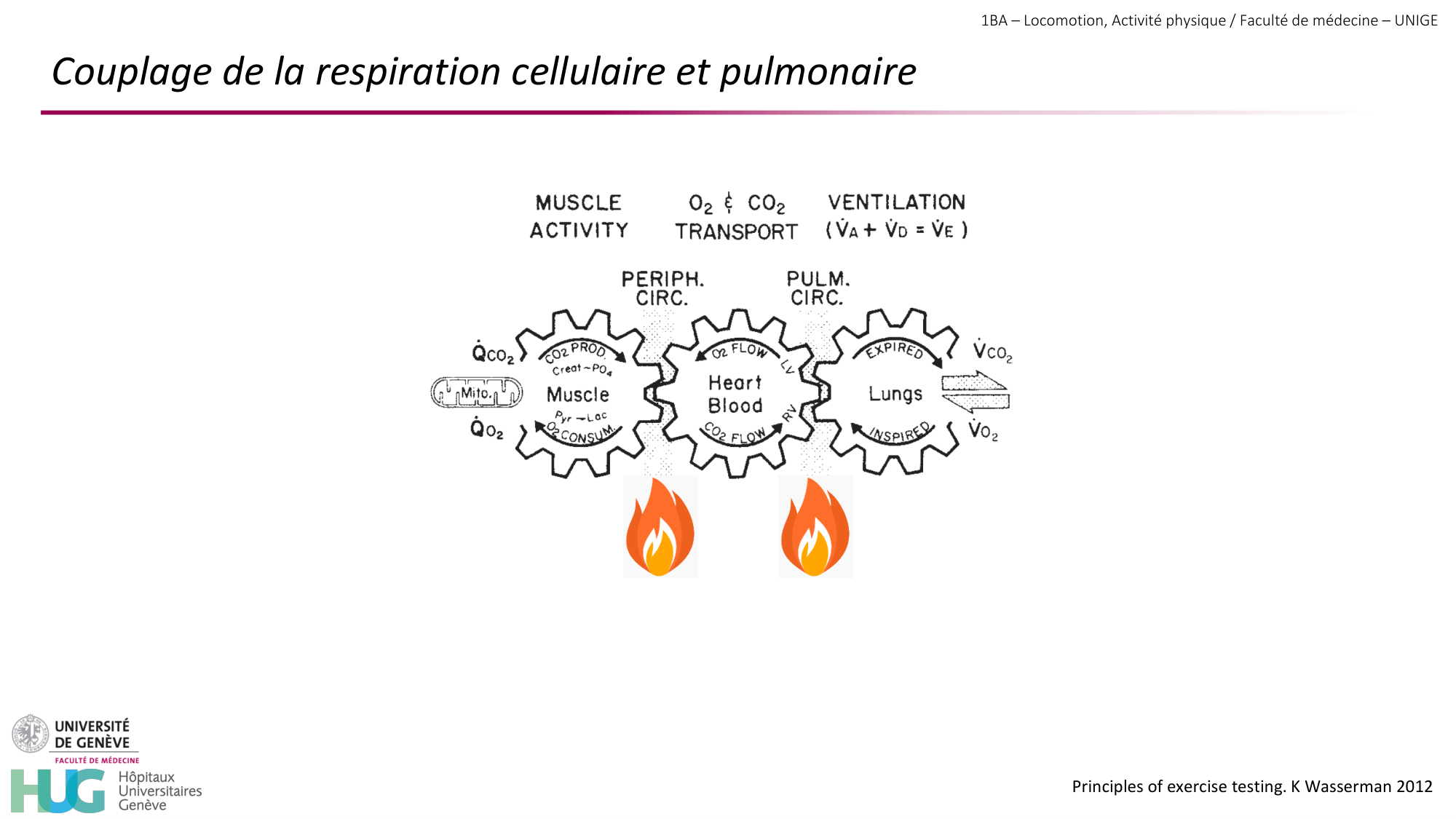 1BA 2025-2026 2026.04.13 - Energie du mouvement - Ivo NETO SILVA page 35