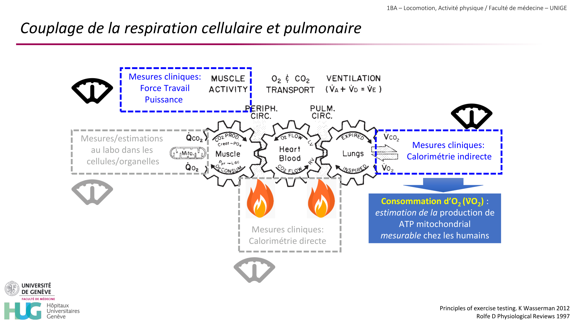 1BA 2025-2026 2026.04.13 - Energie du mouvement - Ivo NETO SILVA page 36