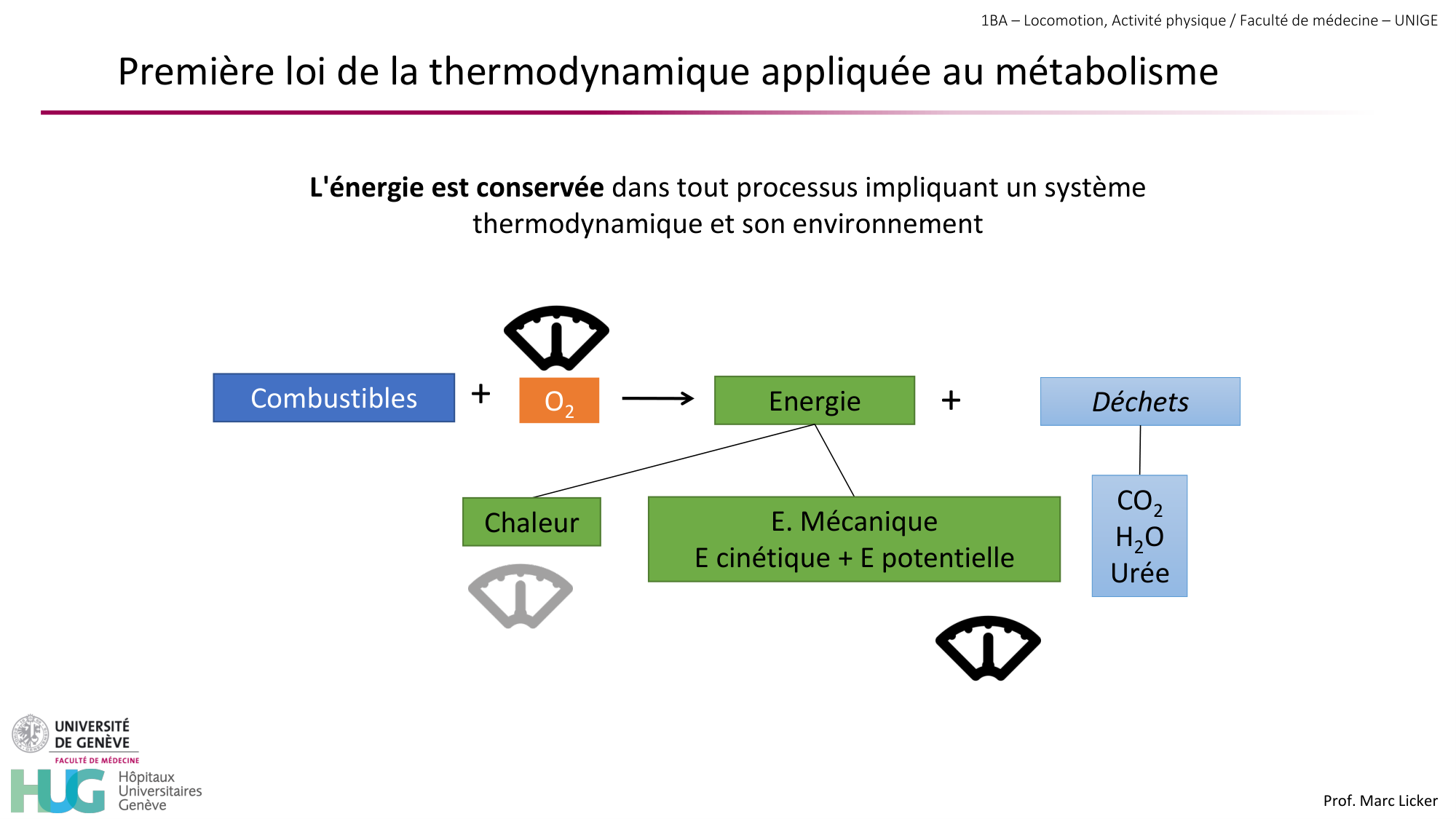 1BA 2025-2026 2026.04.13 - Energie du mouvement - Ivo NETO SILVA page 37