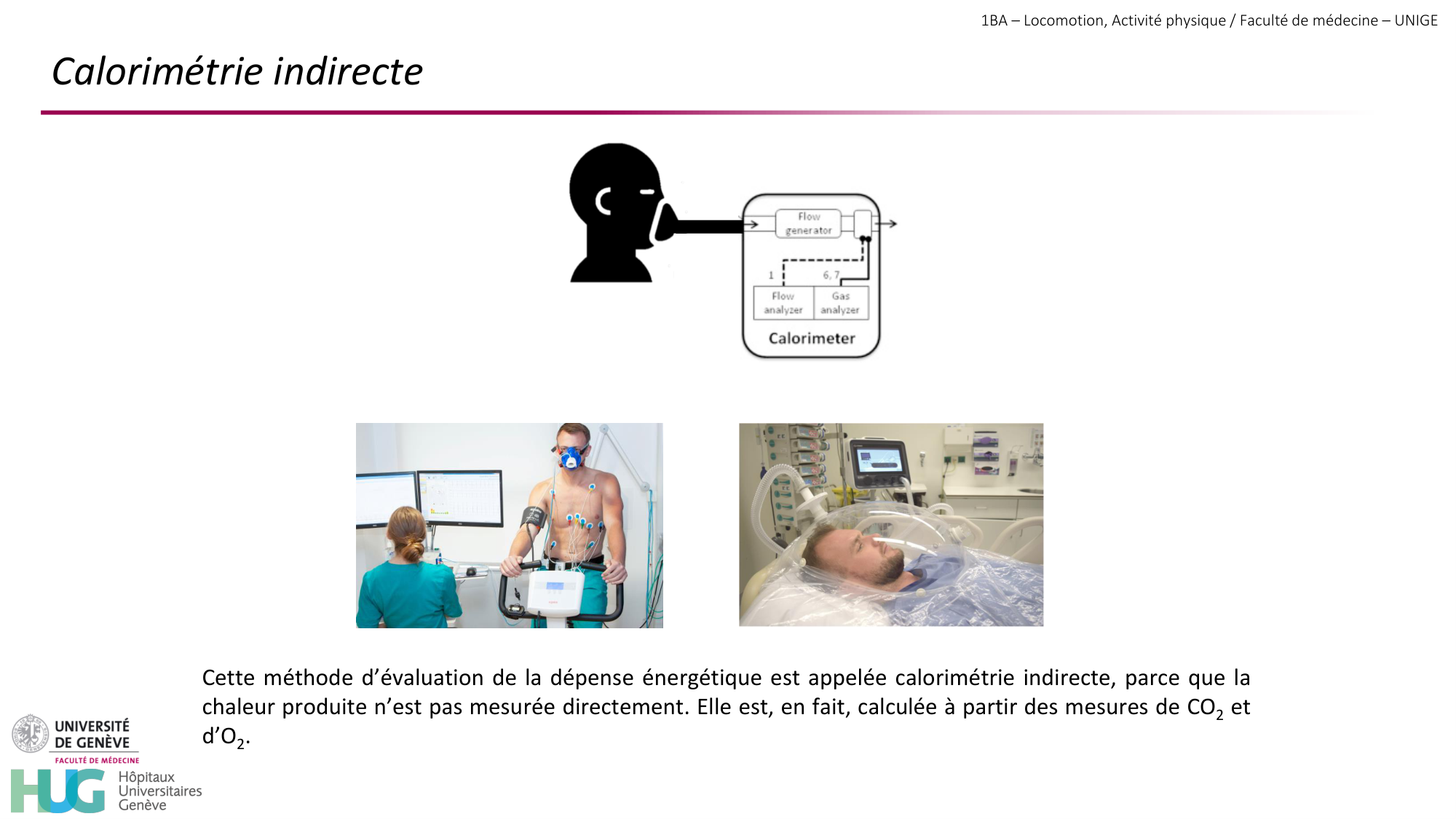 1BA 2025-2026 2026.04.13 - Energie du mouvement - Ivo NETO SILVA page 39
